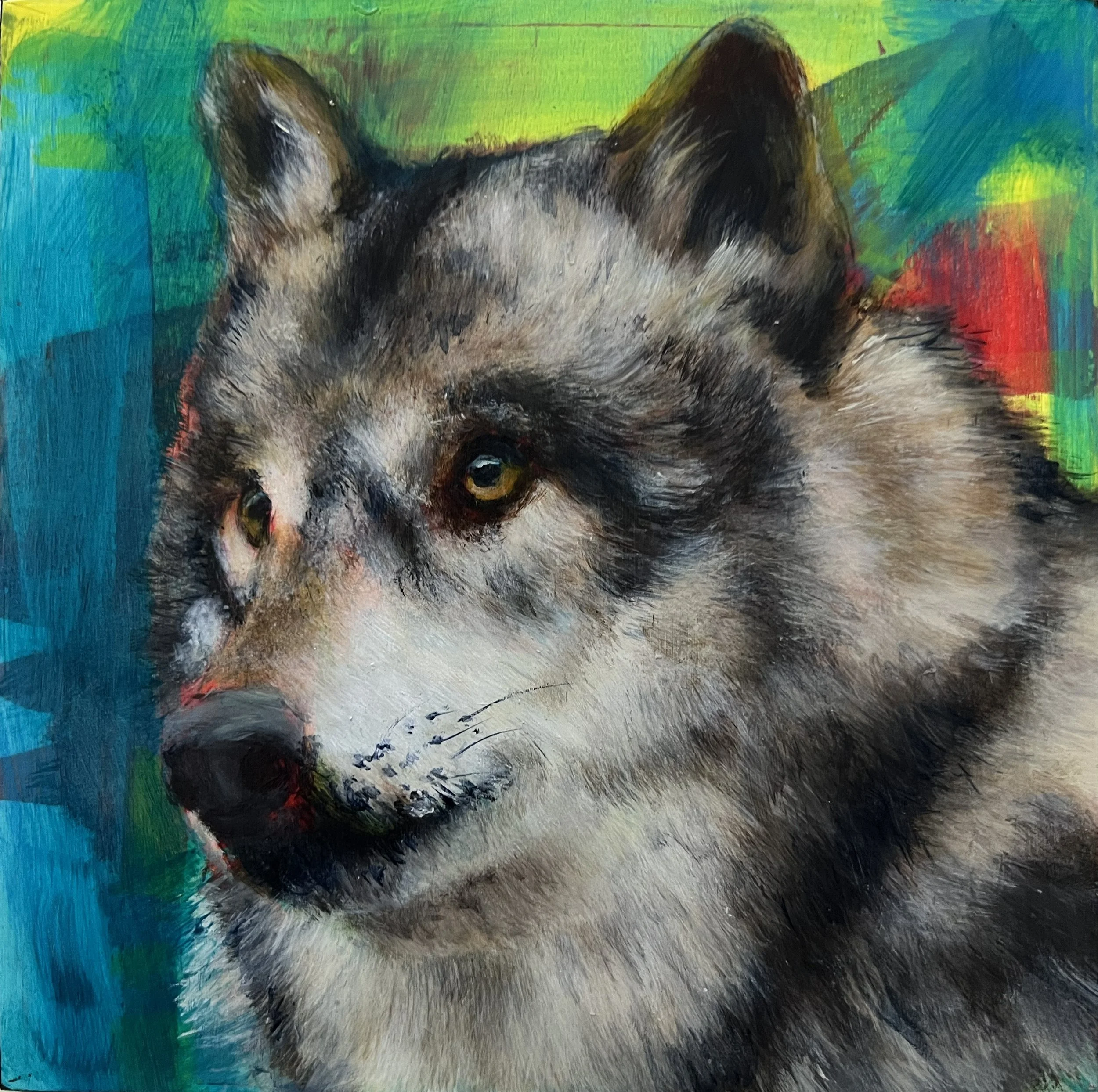 Wolf