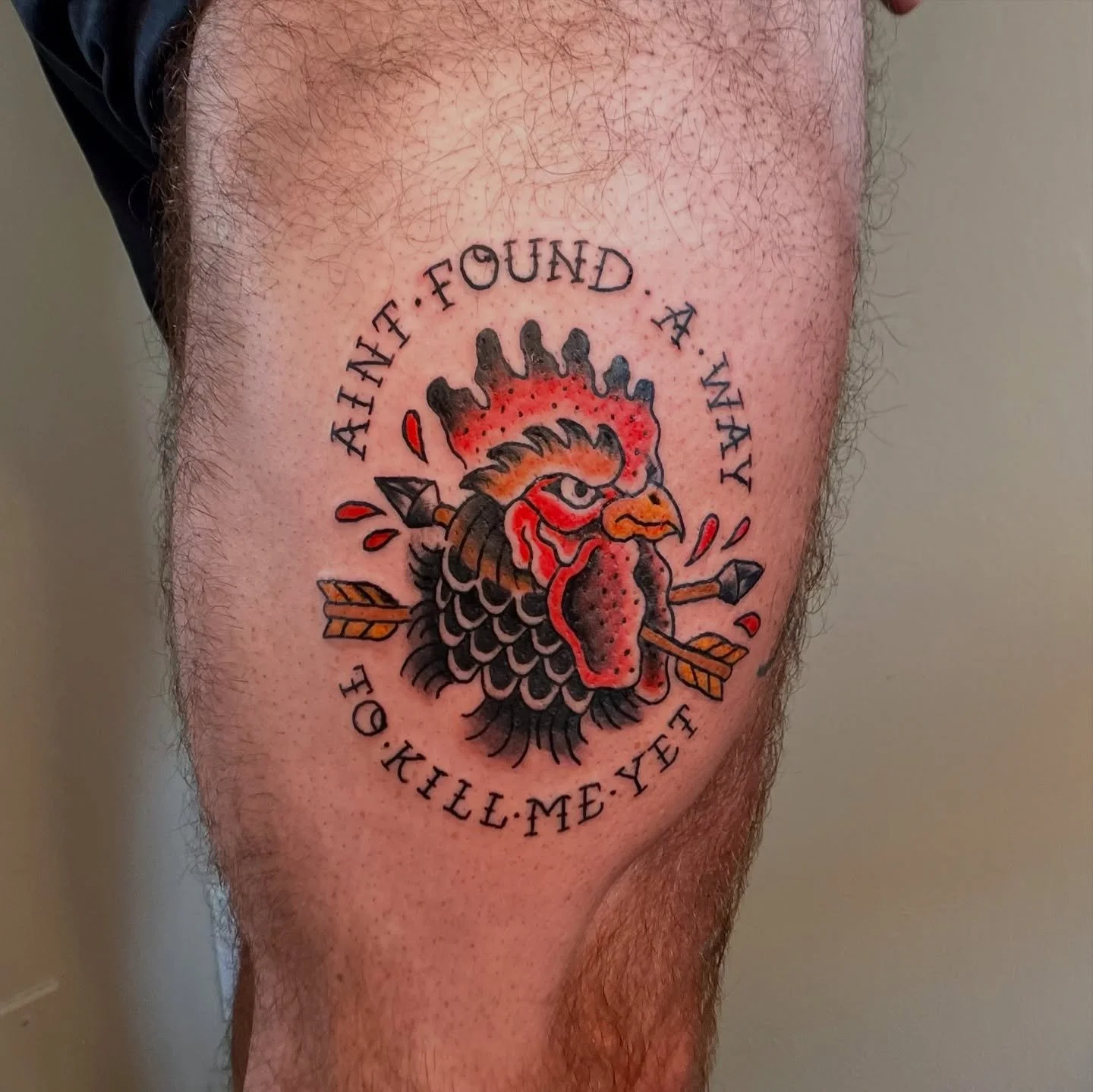 Another fun one in the skin&mdash;appreciate the patience and trust as always @thecaffey 

#tattooapprentice #tradtattoo #traddytatty #tattoos #boldwillhold #apprentice #tattoo #createdaily #traditionaltattoo #rooster #aliceinchains