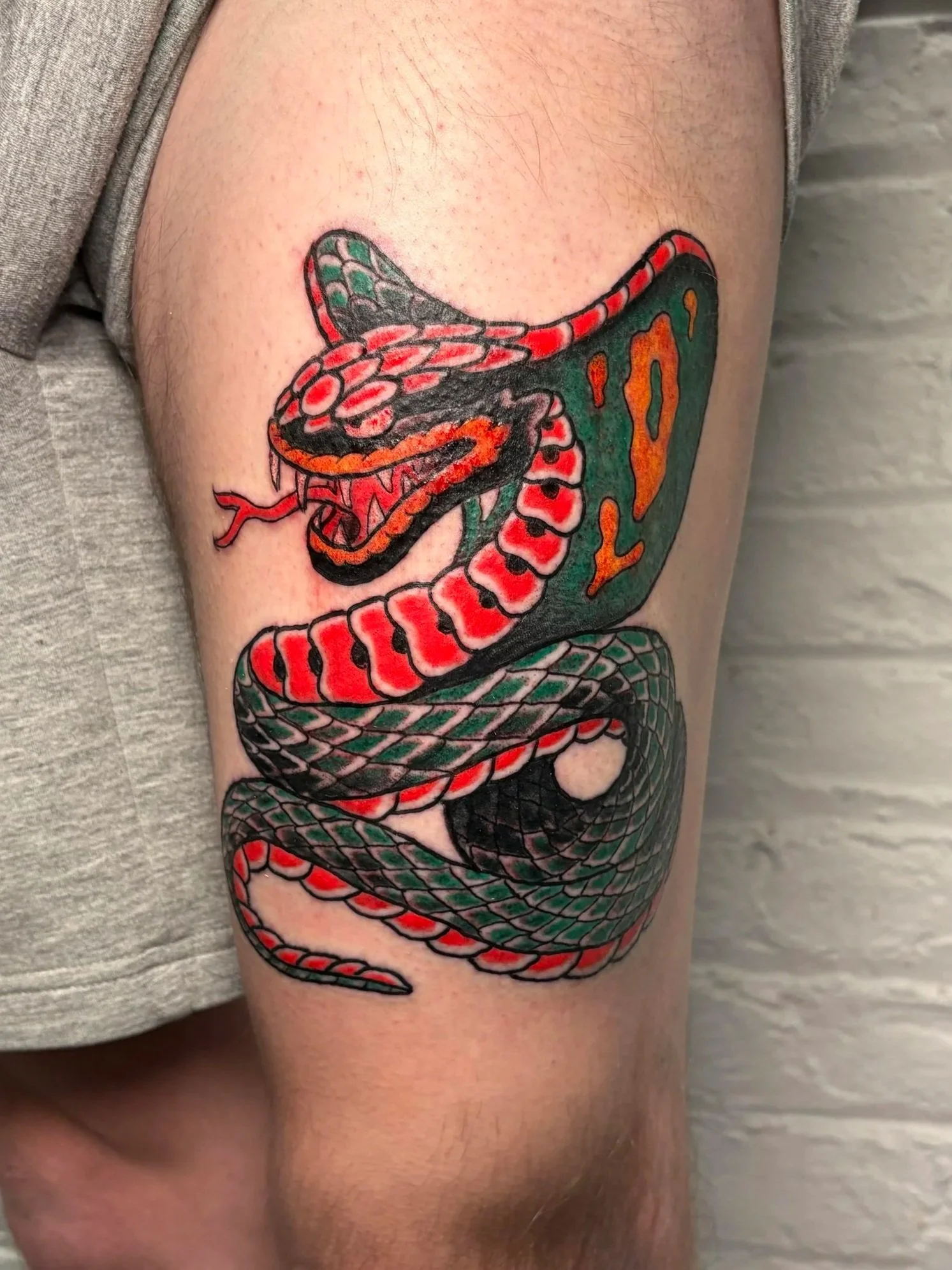 japanese traditional cobra tattoo in a limited color a palette