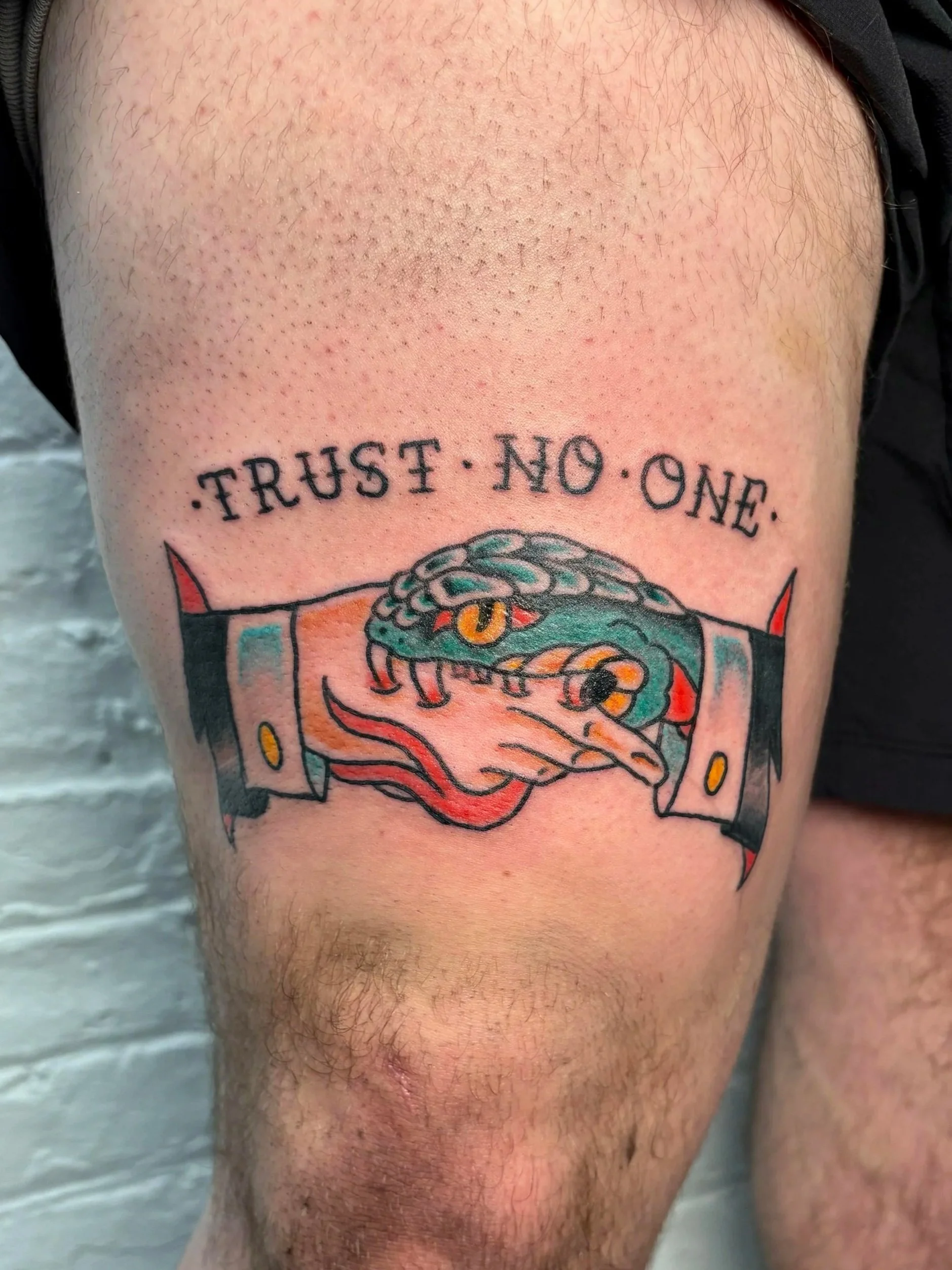 a classic trust no one american traditional tattoo. A snakehead coming out of a sleeve "handshaking a human hand. but biting it, with the words "trust no one" over the top of it.