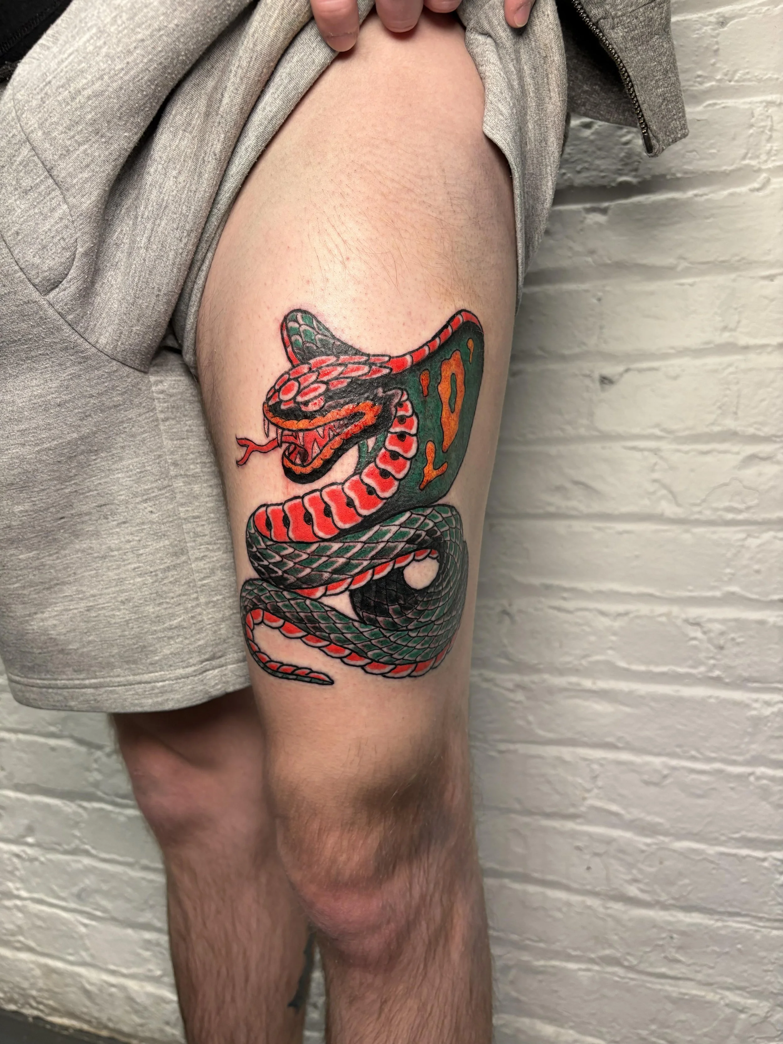 japanese traditional cobra tattoo in a limited color a palette