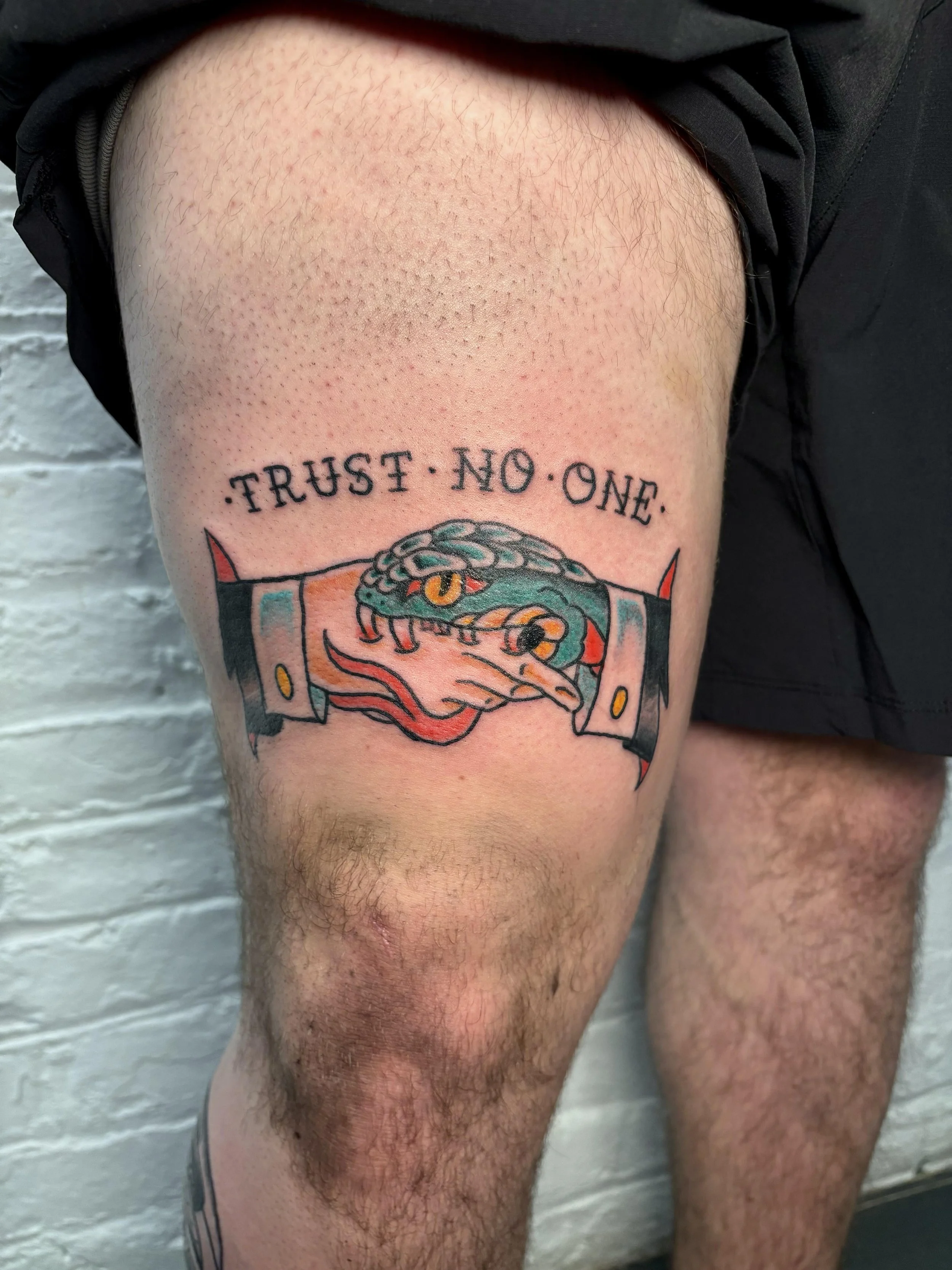 a classic trust no one american traditional tattoo. A snakehead coming out of a sleeve "handshaking a human hand. but biting it, with the words "trust no one" over the top of it.
