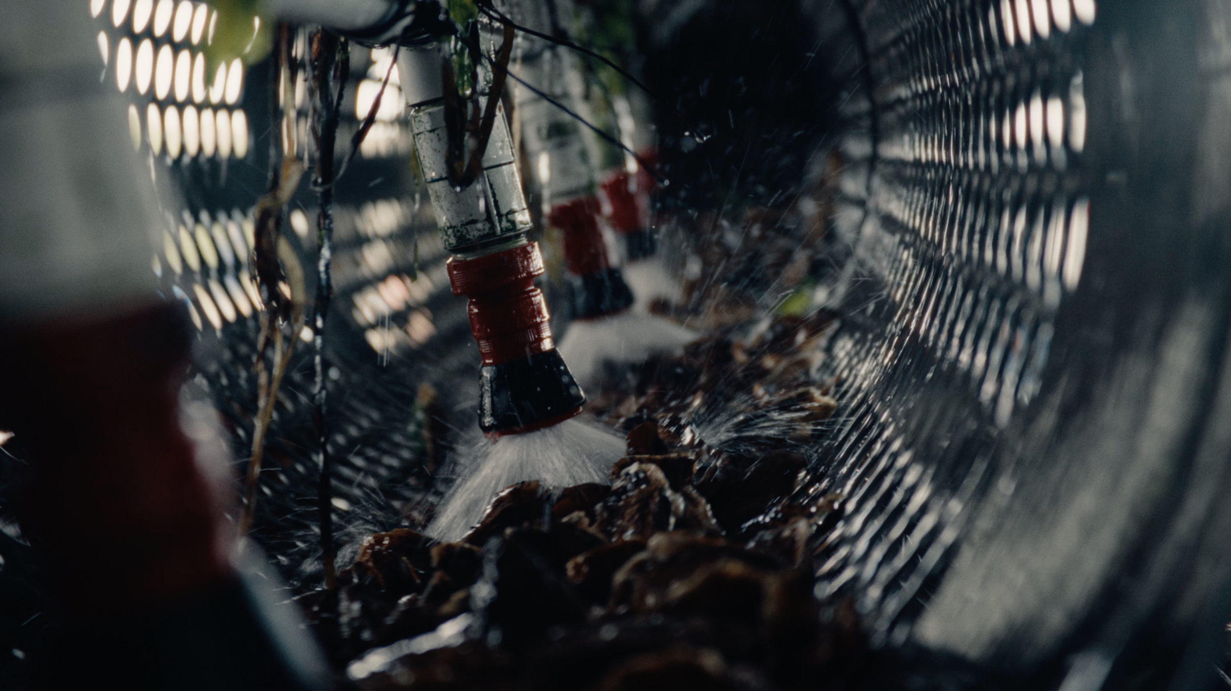 EP 4 SHOT 2.png