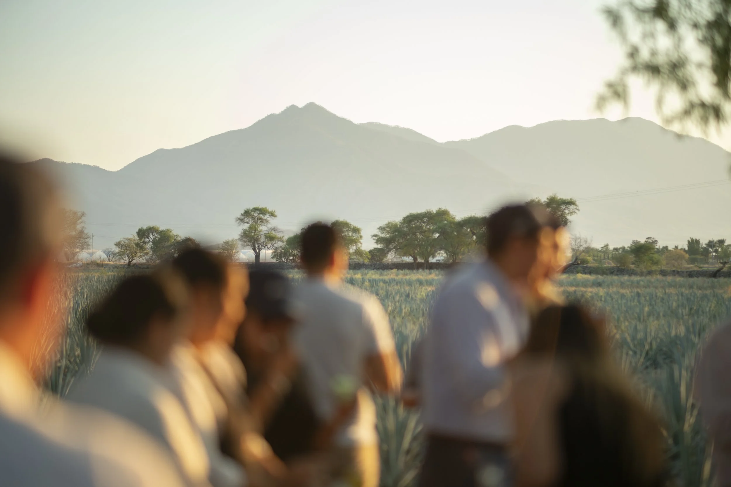 Fotos_24.05.15_Hacienda La Labor de Rivera_DegustaciónTequila_00009.JPG