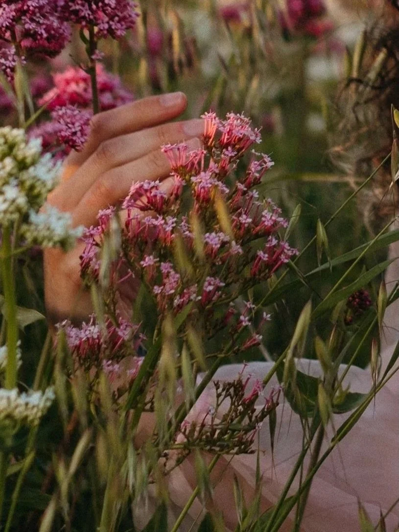 Haven&rsquo;t done a wildflower shoot in a minute, would love to create some self love portraits in a field again. It&rsquo;s just about that time if this calls to you!