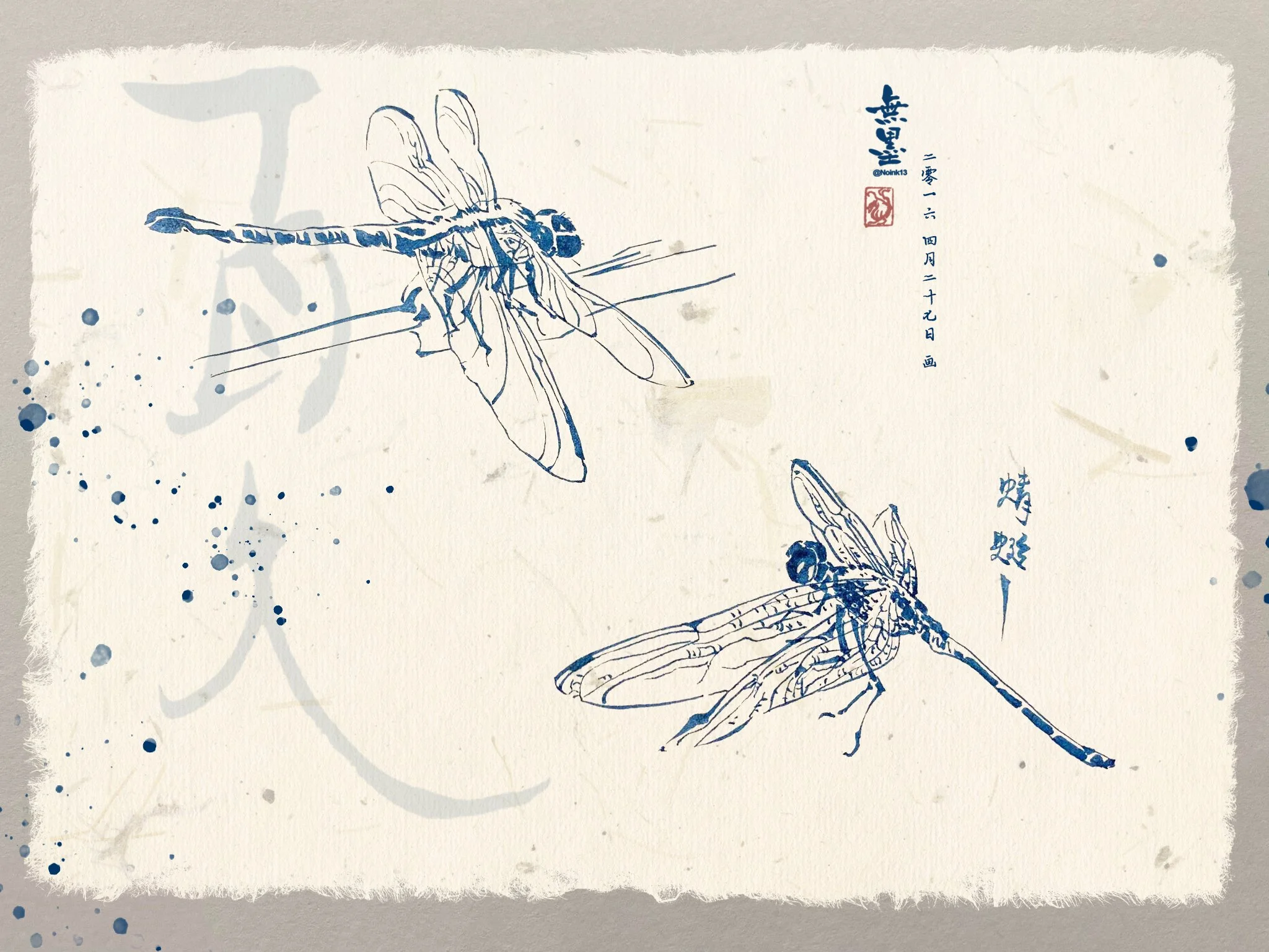 蜻蜓.jpg