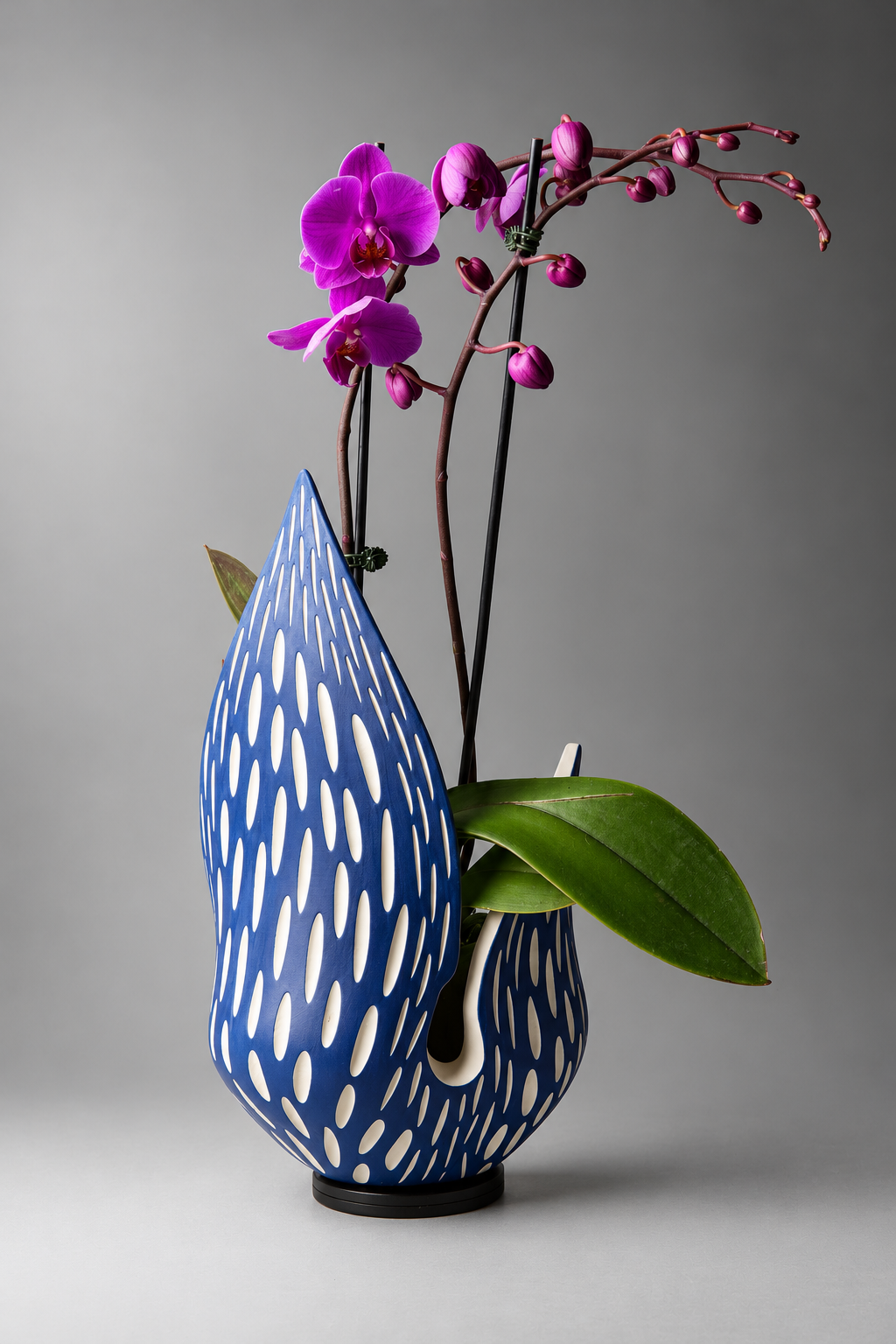 Cobalt Sculptural Vase with Blooming Orchid.png