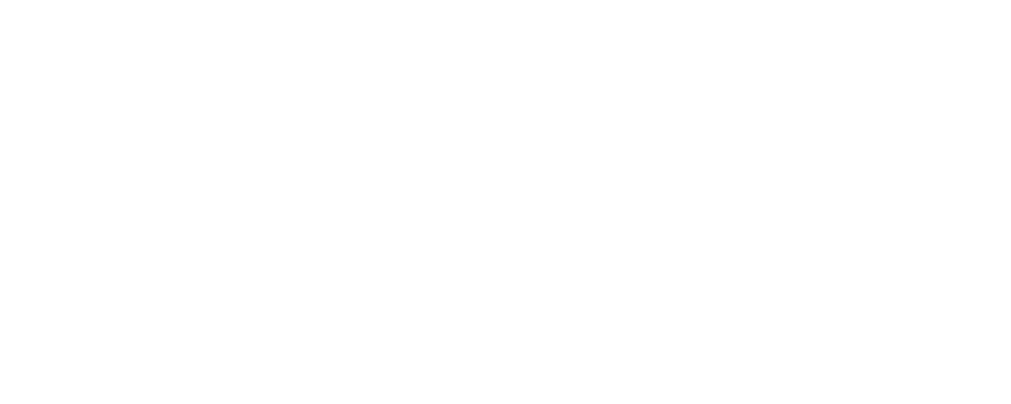 Neumann Berlin logo with a stylized thermometer and the company name in bold letters.