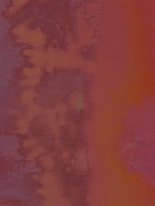 064CC41C-6C27-4DF1-9B7B-132A336AB5B4_1_105_c.jpg