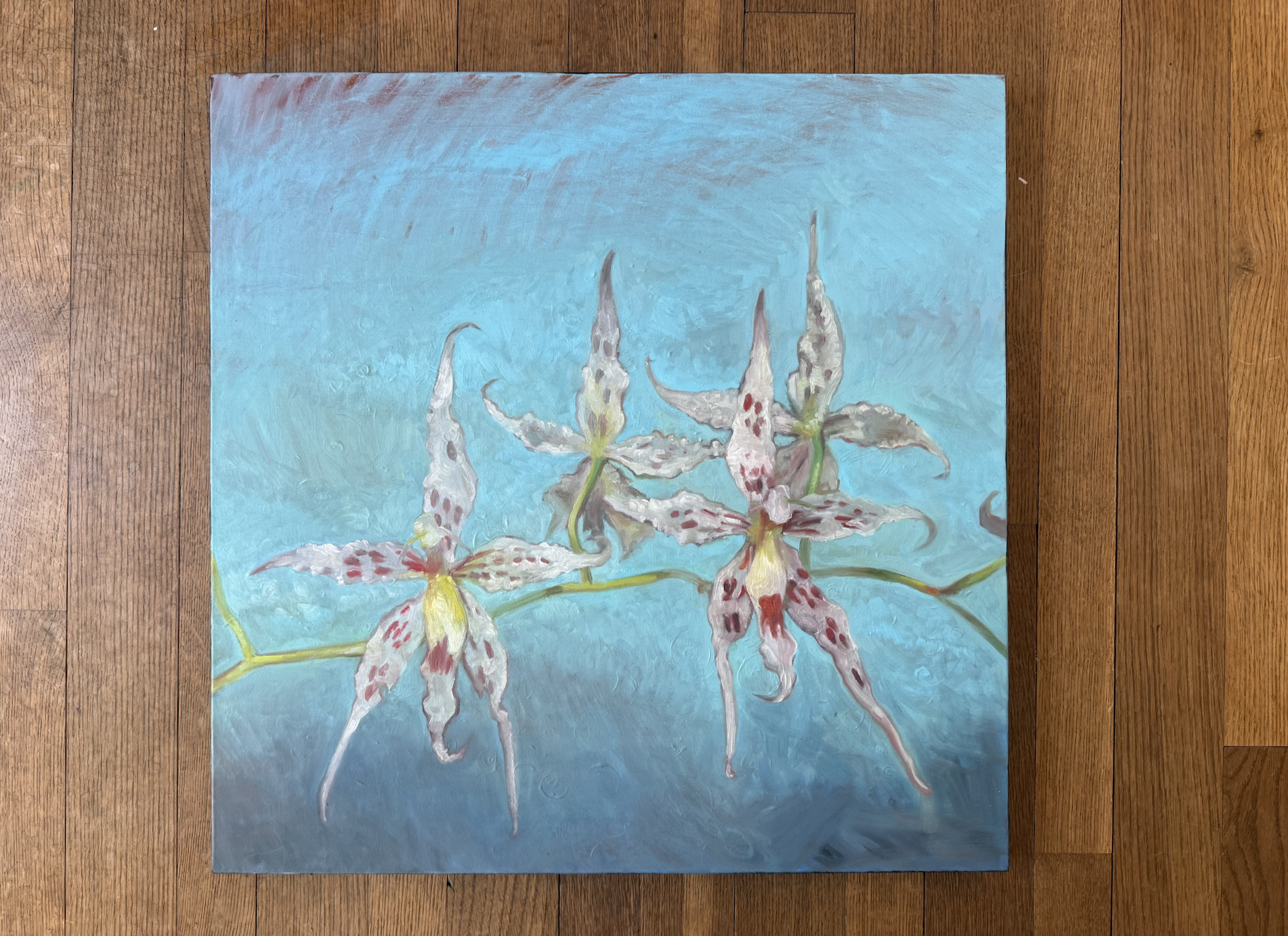 Screenshot 2026-04-11 at 3.02.26 PM.png