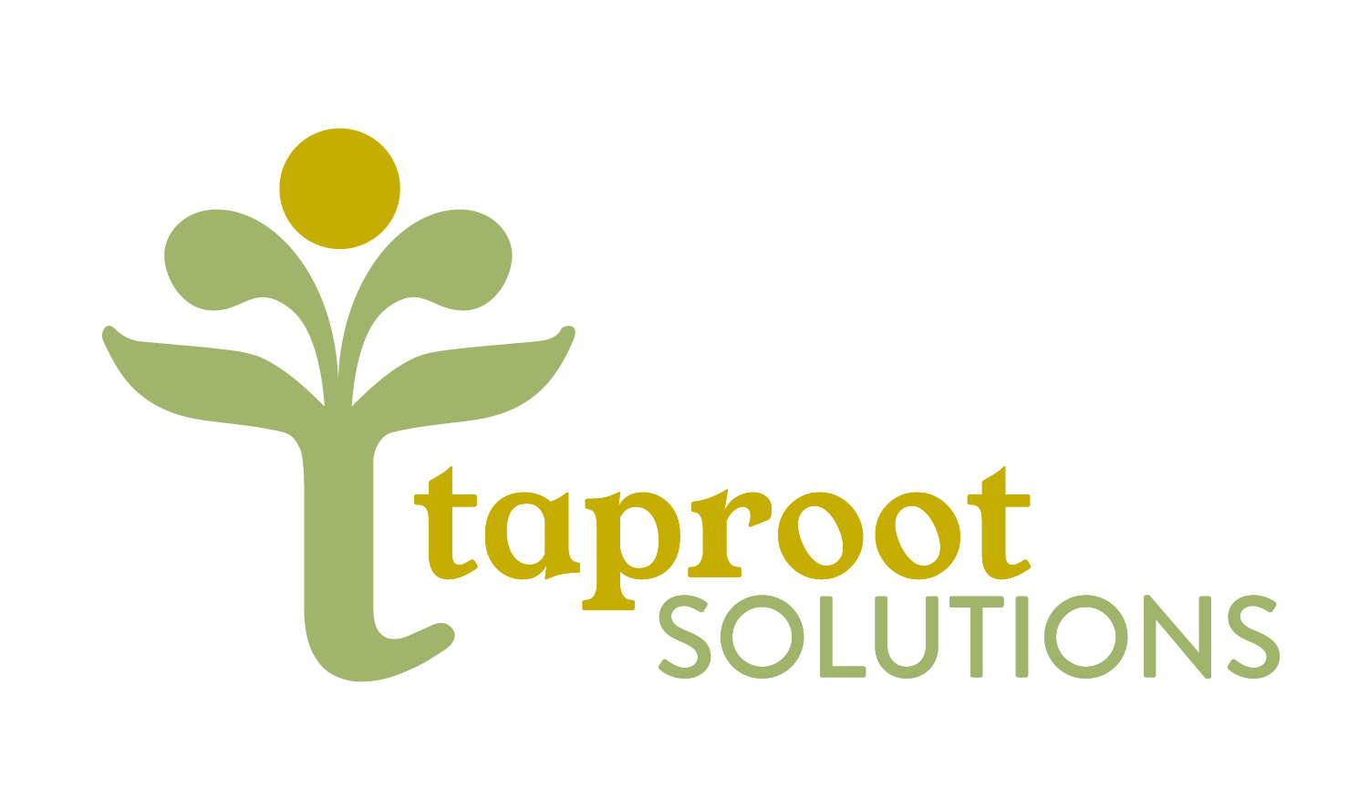 Taproot Solutions