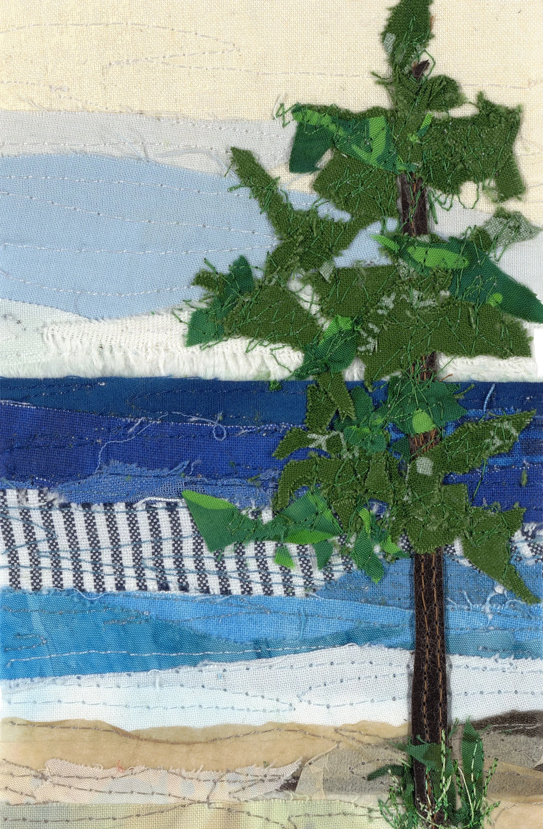 Pine tree clean crop.jpg