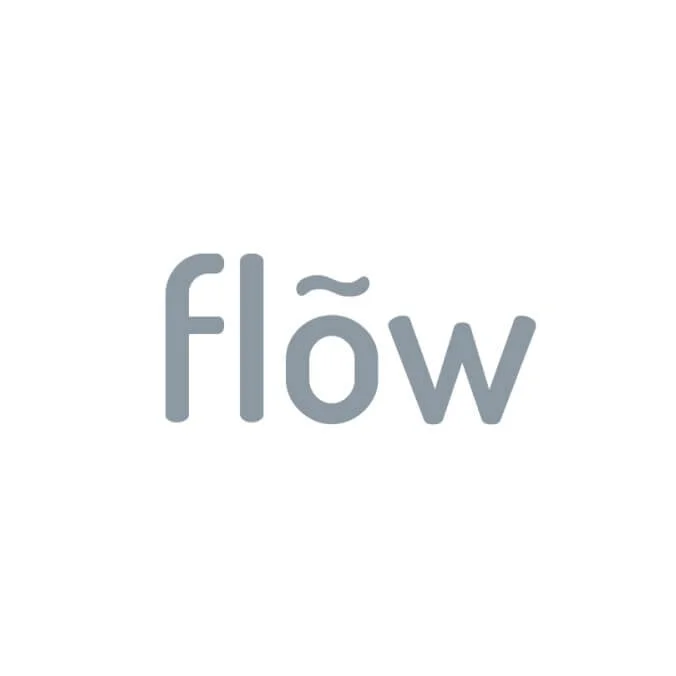 11-flow.jpg
