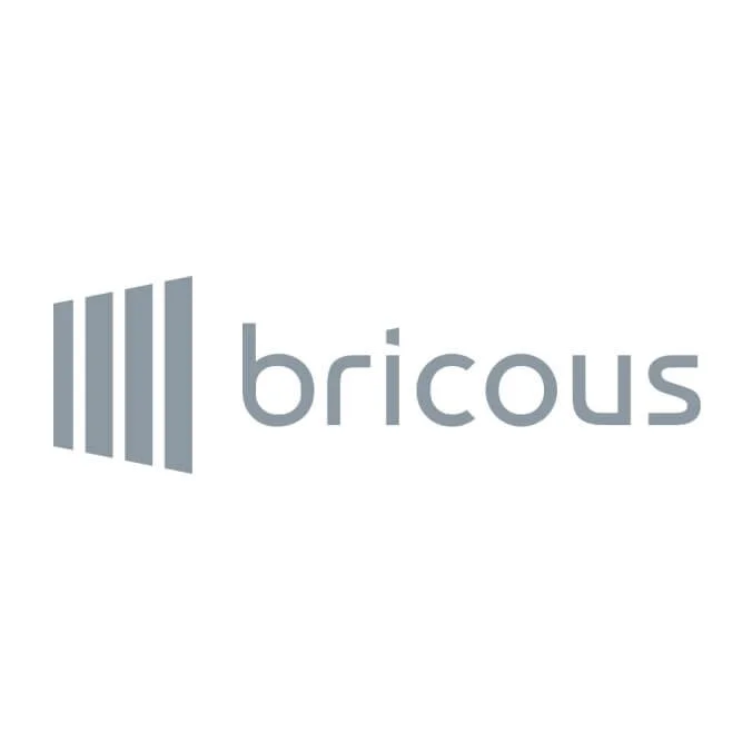 5-bricous.jpg