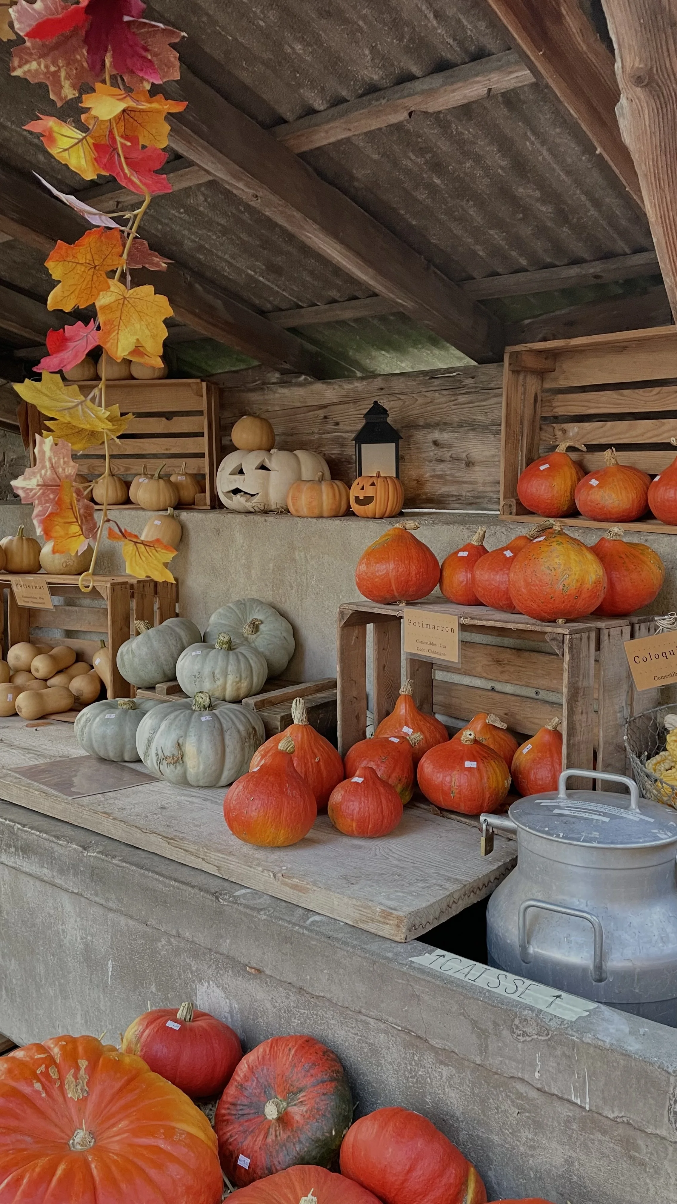 Cape Cod Halloween 2025: Tricks, Treats & Local Buzz