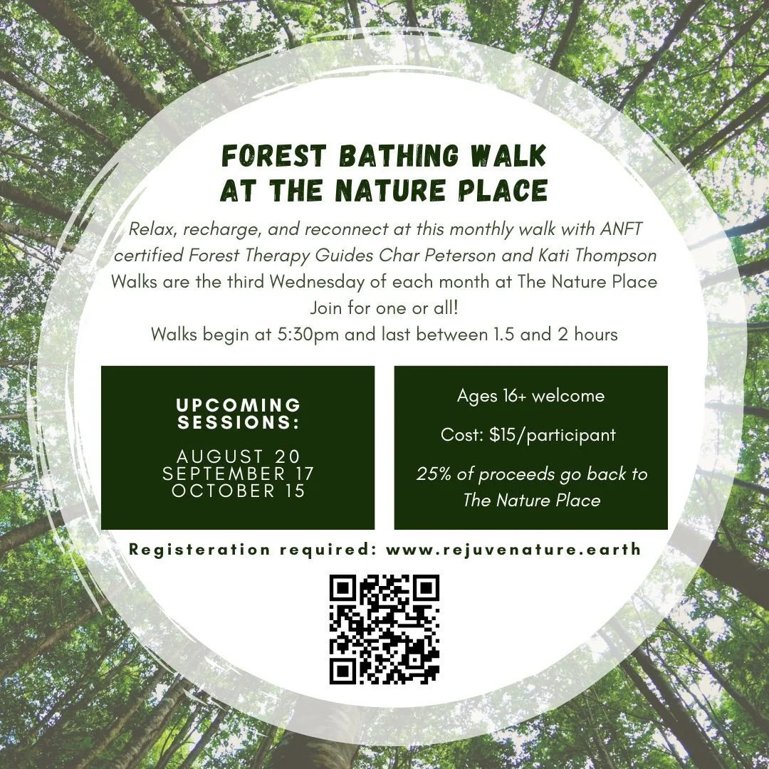 Guided Forest Bathing Walk
