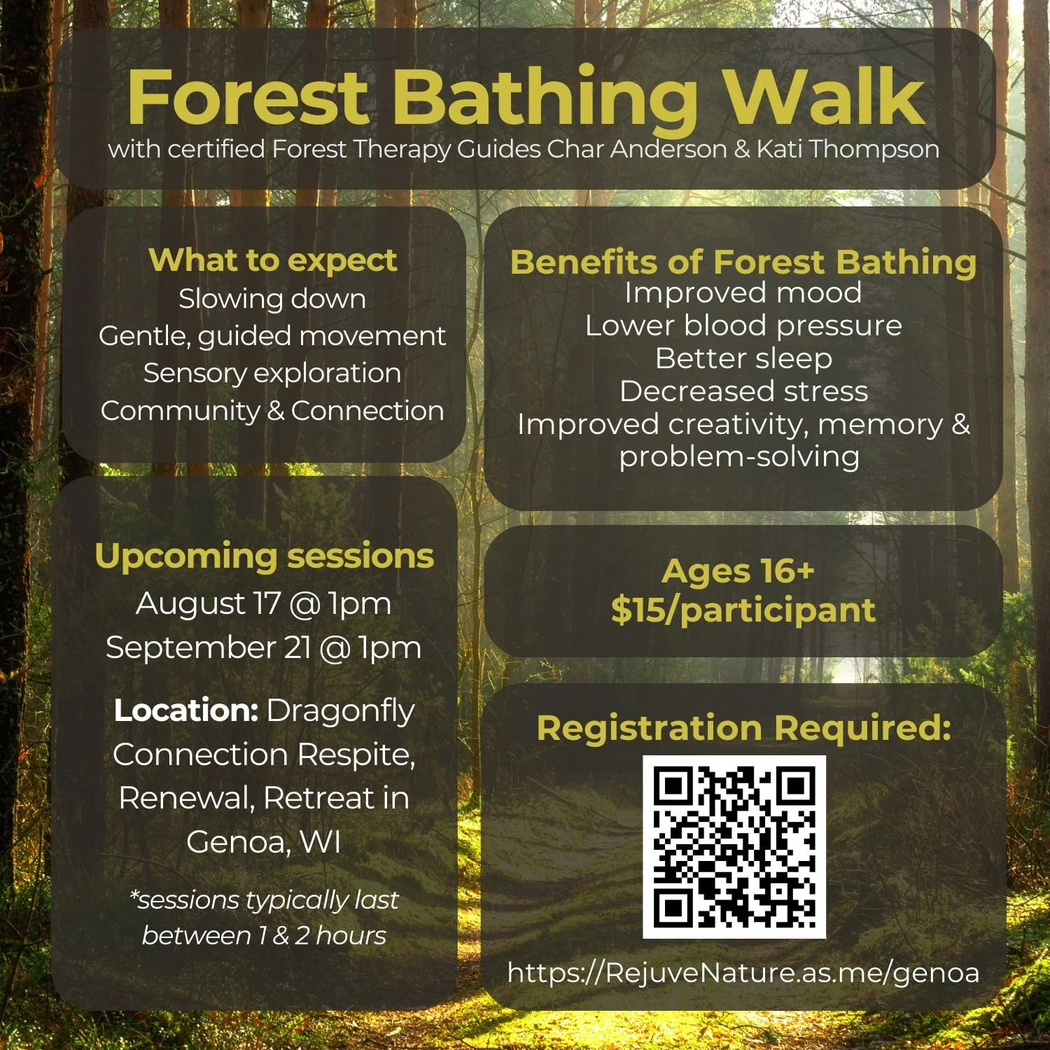 Forest Bathing Walk at Dragonfly Connection-Respite-Renewal-Retreat