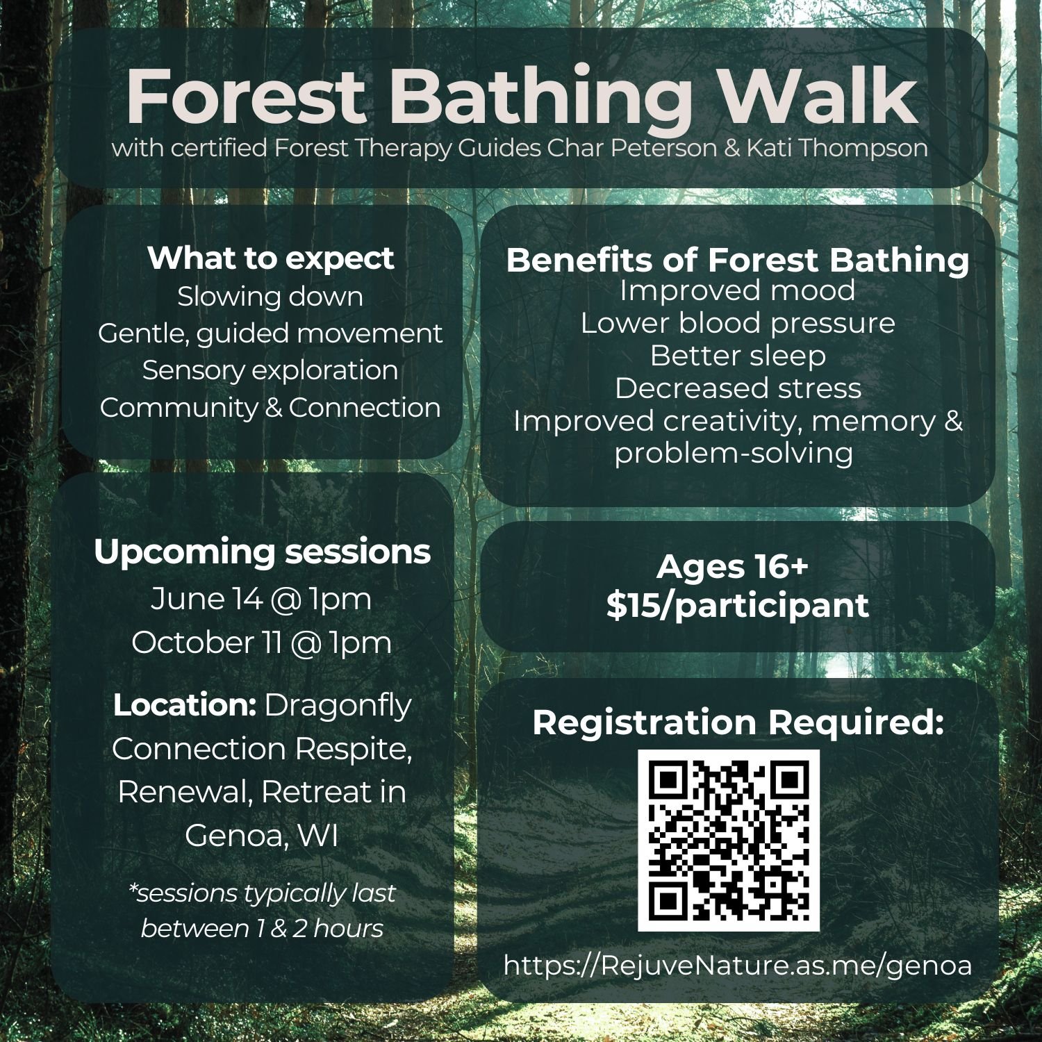 Forest Bathing Walk at Dragonfly Connection-Respite-Renewal-Retreat