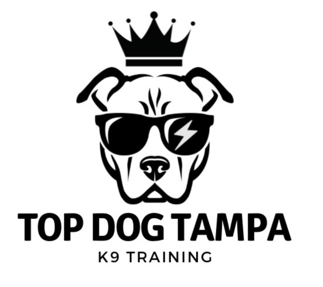 Top Dog Tampa