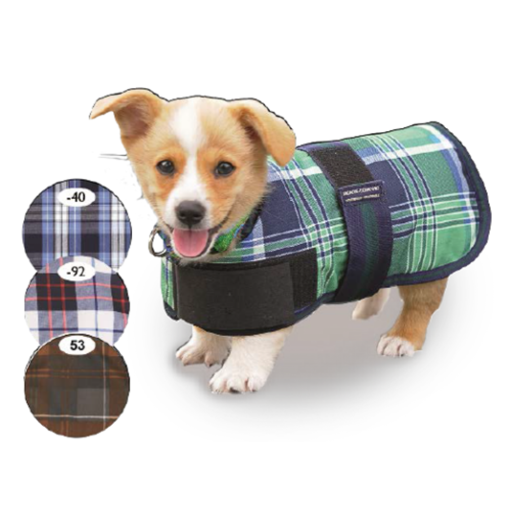 Century dog coat sale