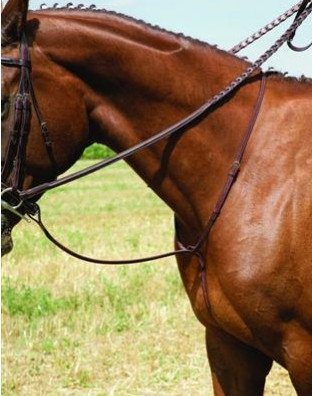 Vespucci Plain Raised Standing Martingale horse tack