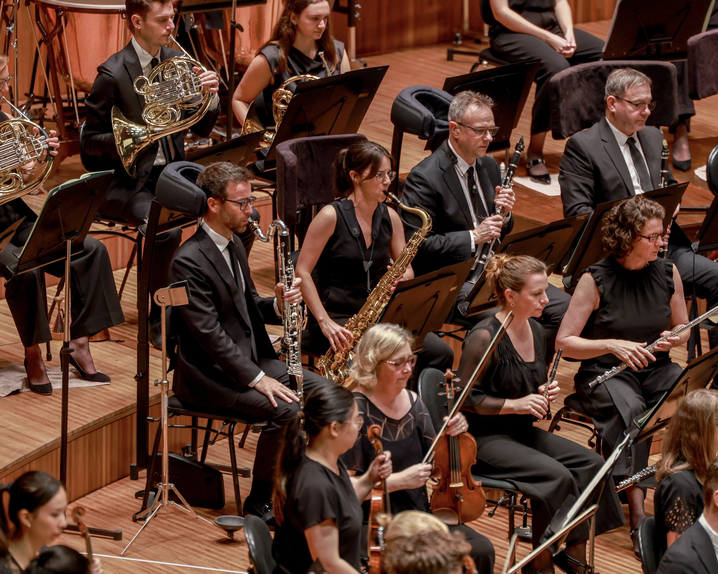 An orchestra performing on stage with musicians playing various instruments, including French horns and clarinets, dressed in formal black attire.