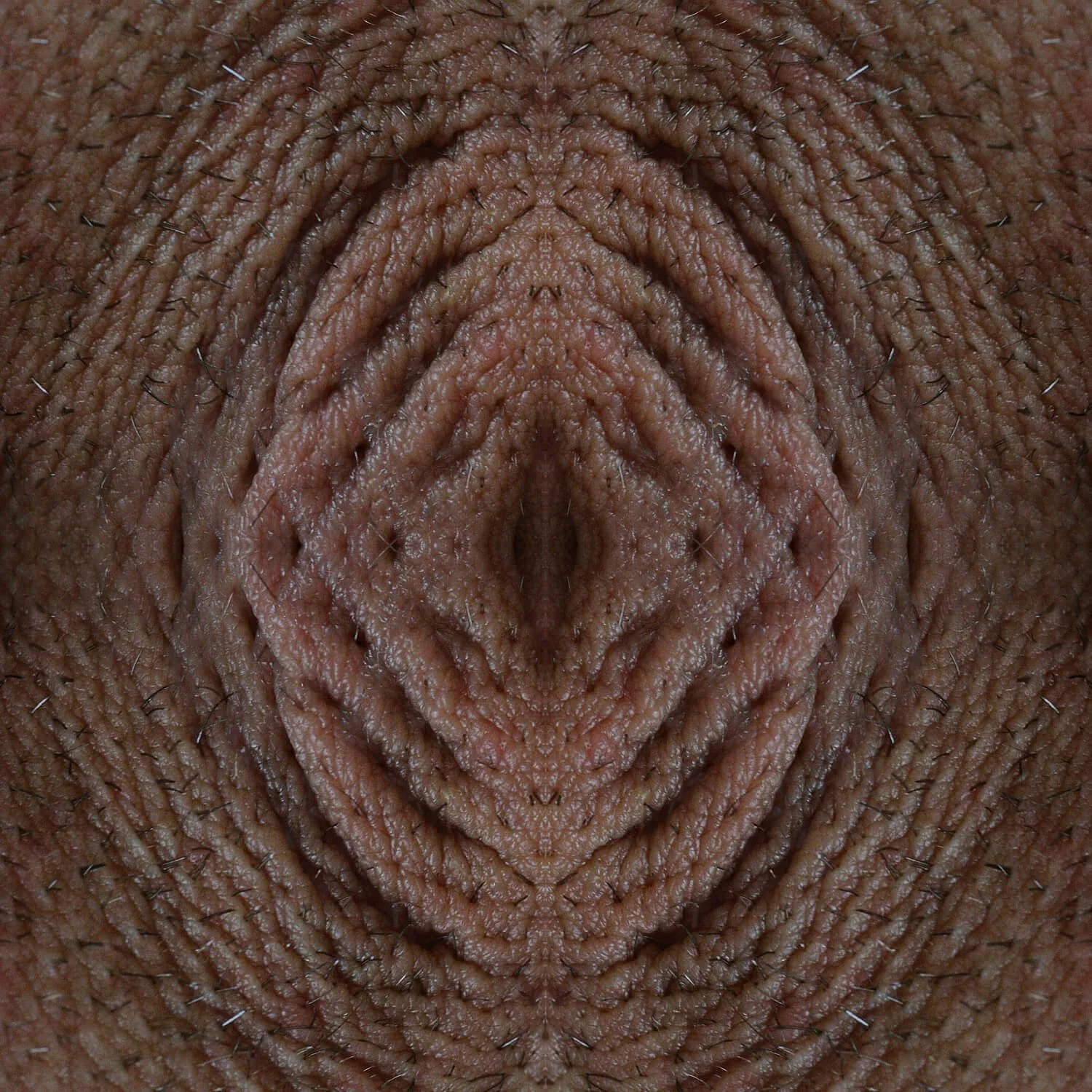 Bodifications