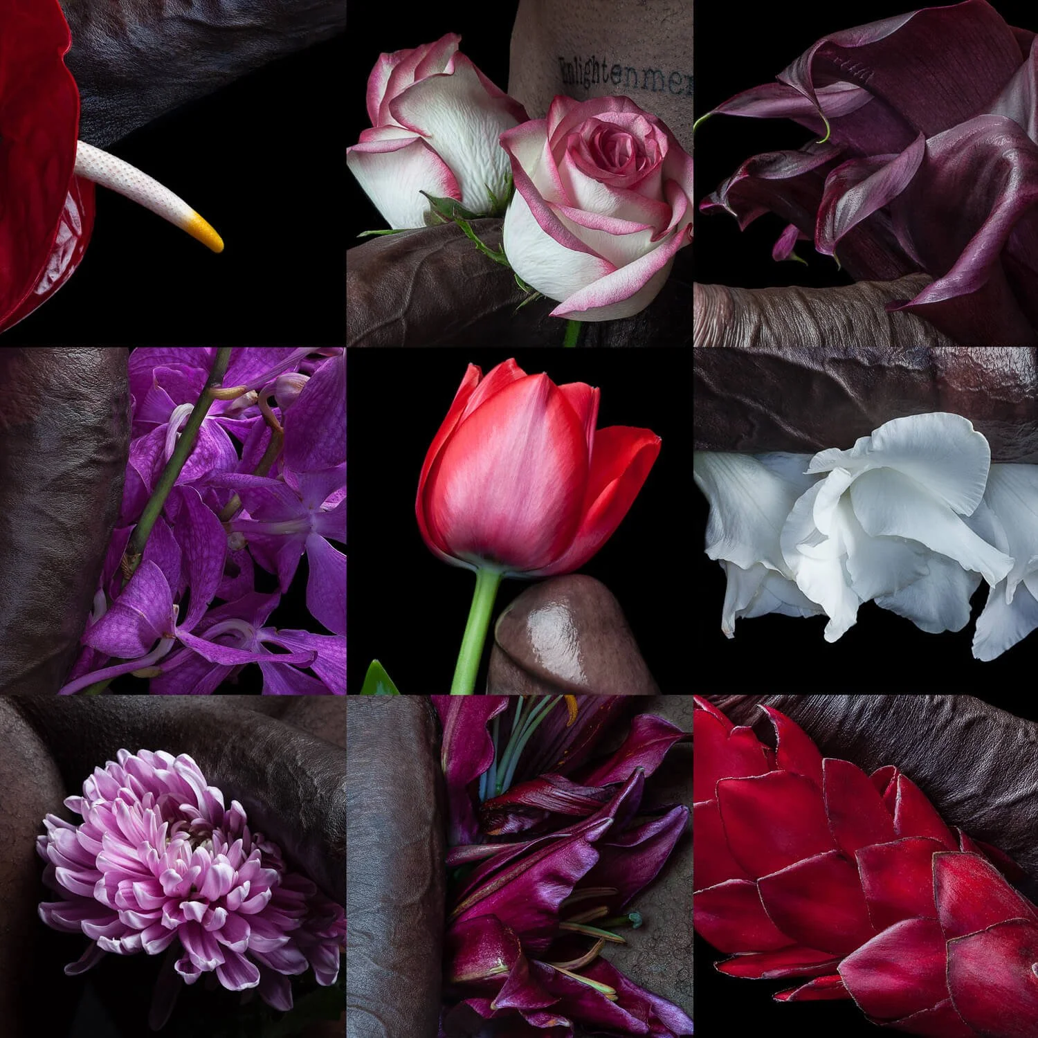Flowers & Chocolate