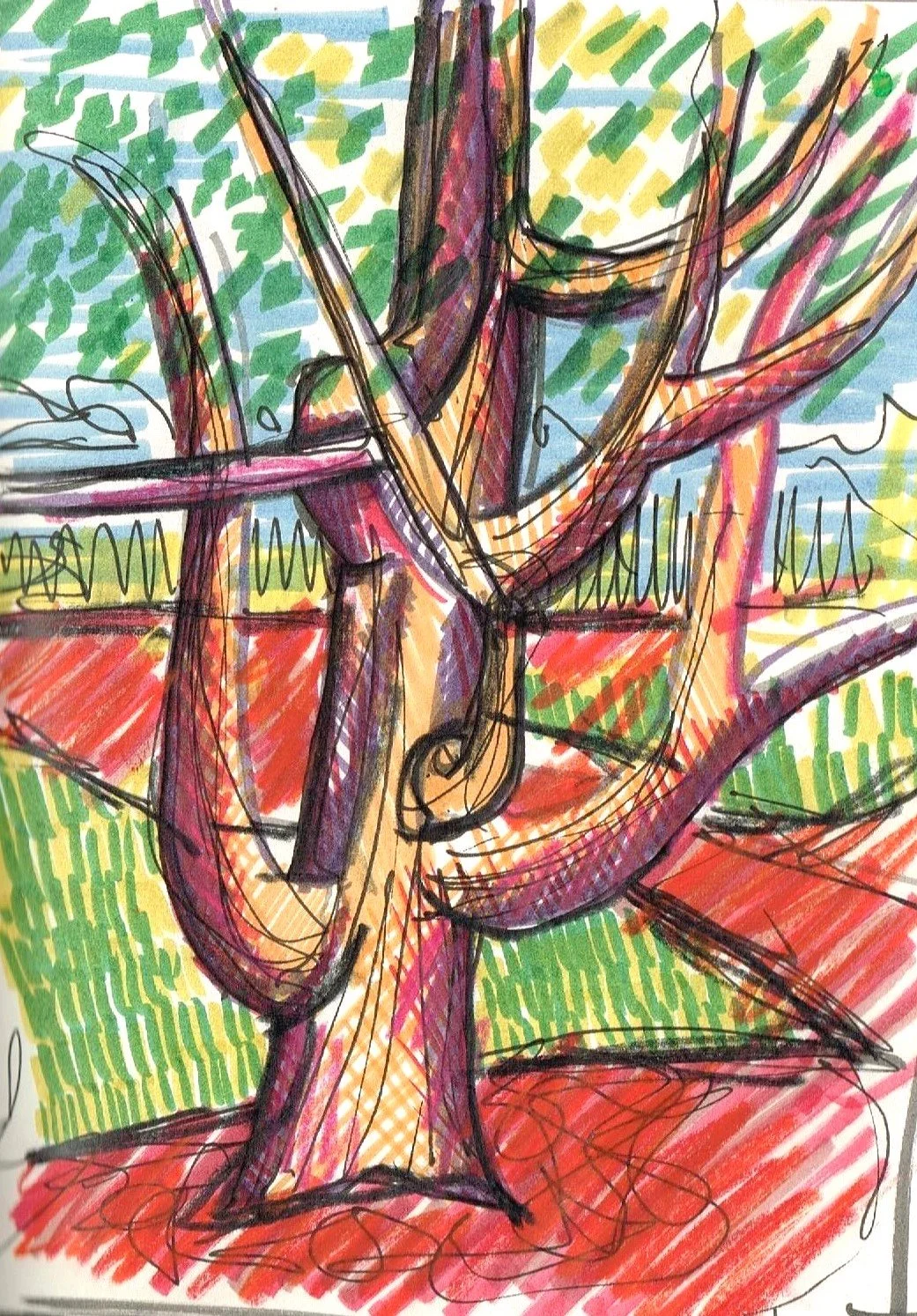Trees, Nelson
(145x200)
Fibre Tipped Pen, Brush Pen and
Water Colour