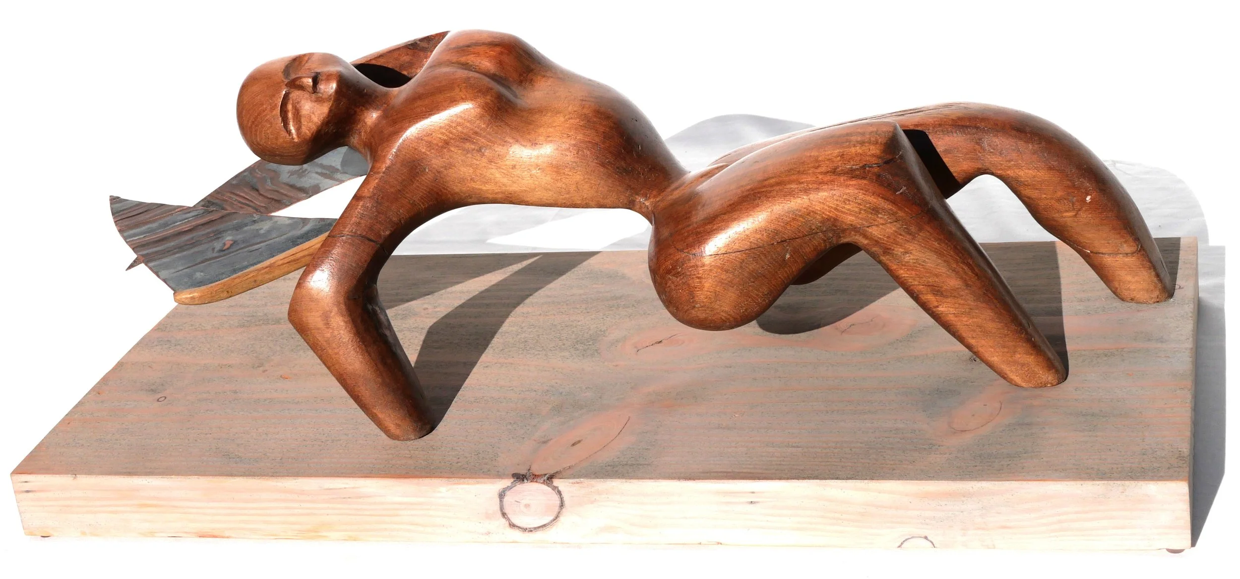 Fallen (220x730x260)

Wood (Totora, Matai) and Copper