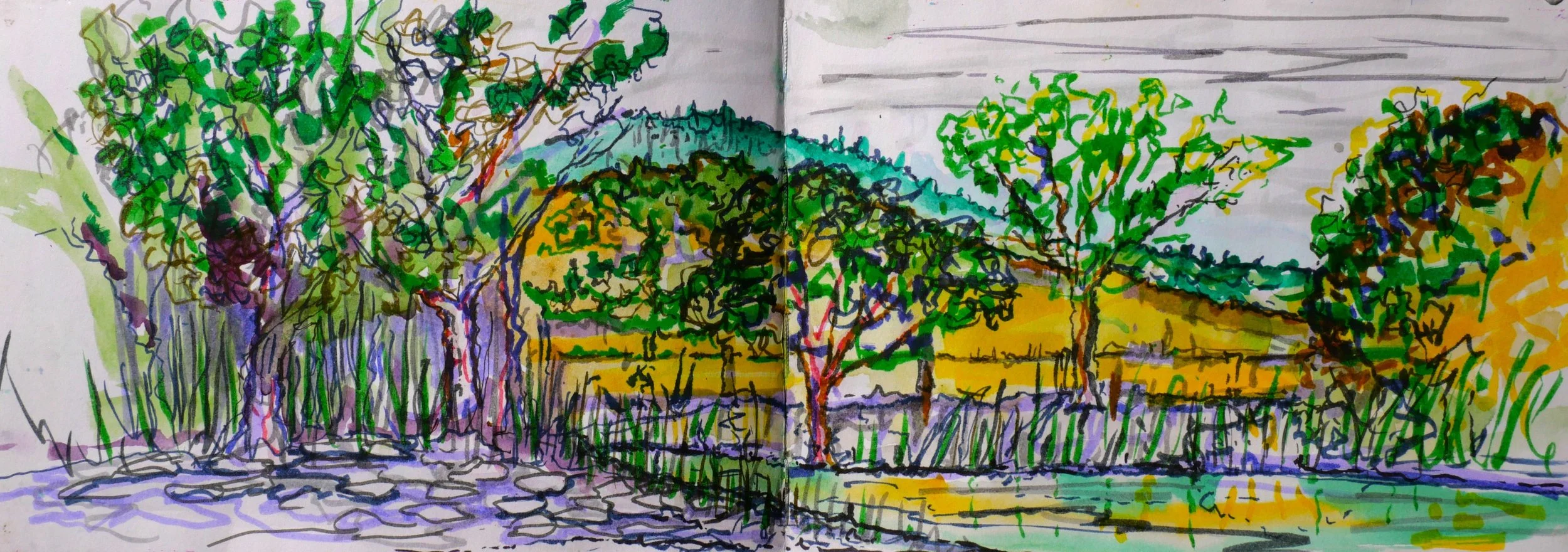 Study 24 (145x420) 
Water Colour, and Brush Pens.