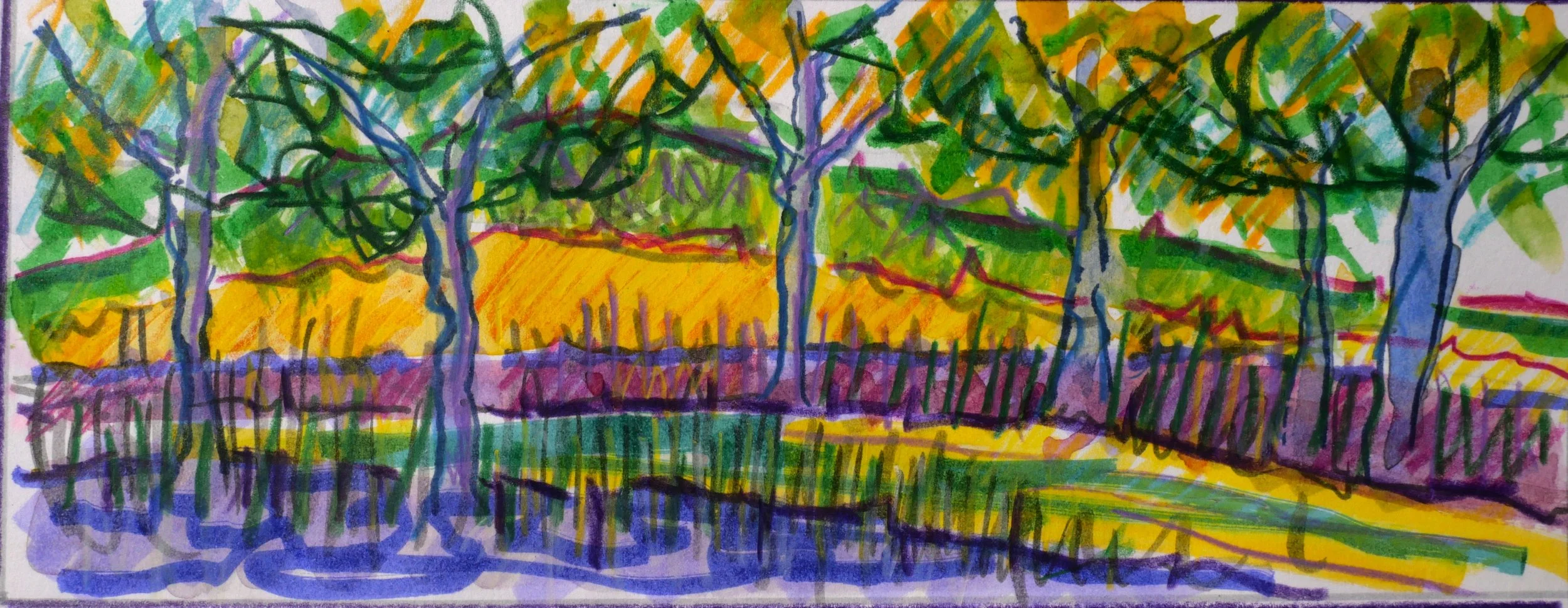 Study 25 (80x200) 
Water Colour, and Brush Pens.