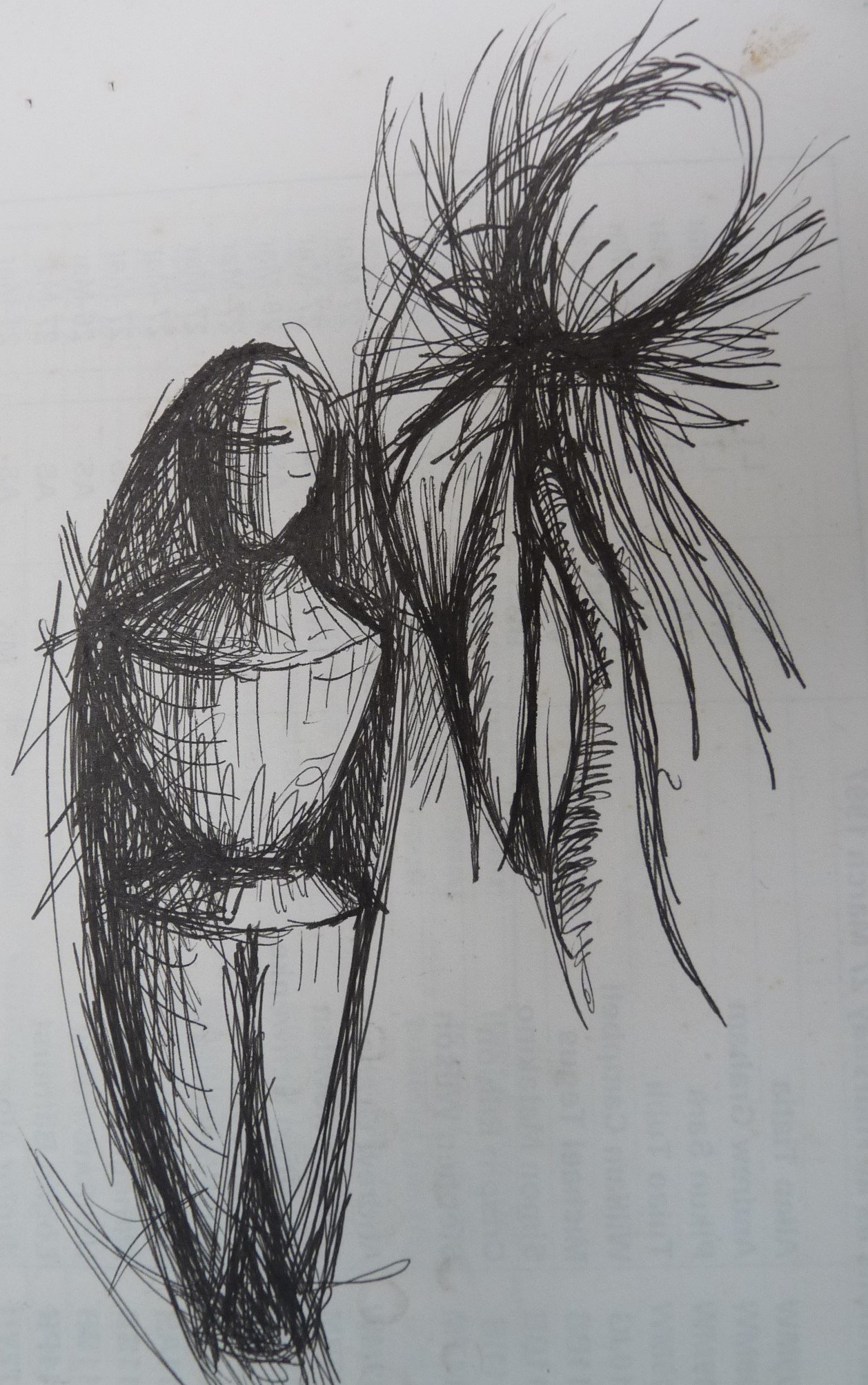 Fibred tipped pen drawing (210x297)