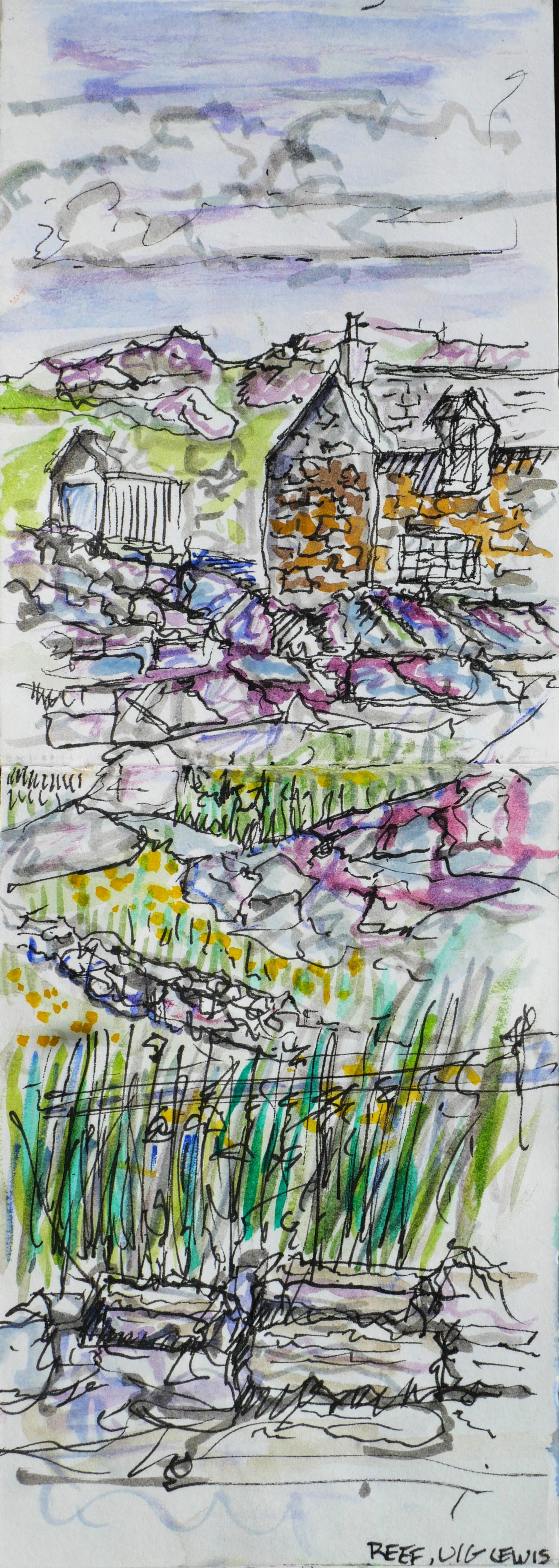 Reef, Uig, Isle of Lewis, Scotland. (85x230)
Brush Pen, Fibre Tipped Pen and Water Colour.