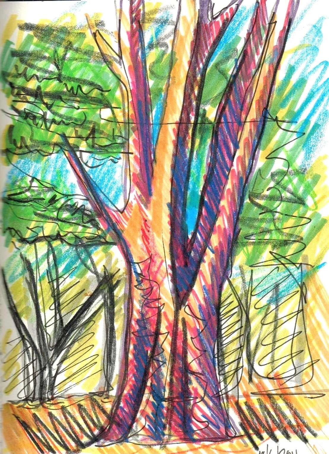 Trees, Nelson
(145x200)
Fibre Tipped Pen, Brush Pen and
Water Colour