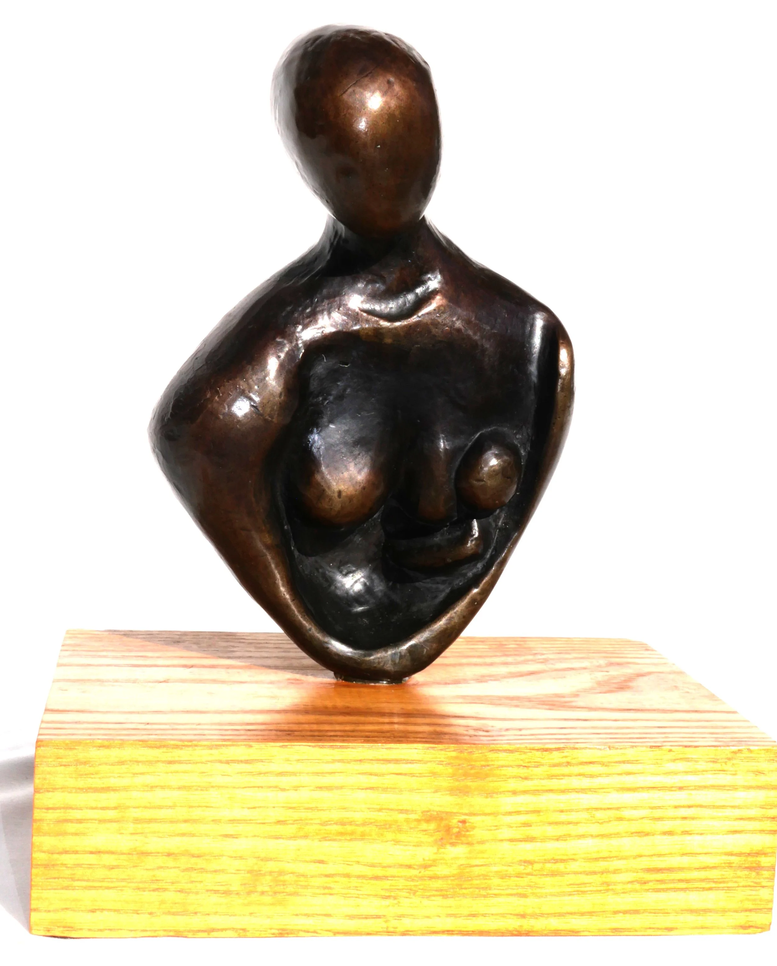 Mother and Child (190x120x60) 
Bronze (American Oak base)