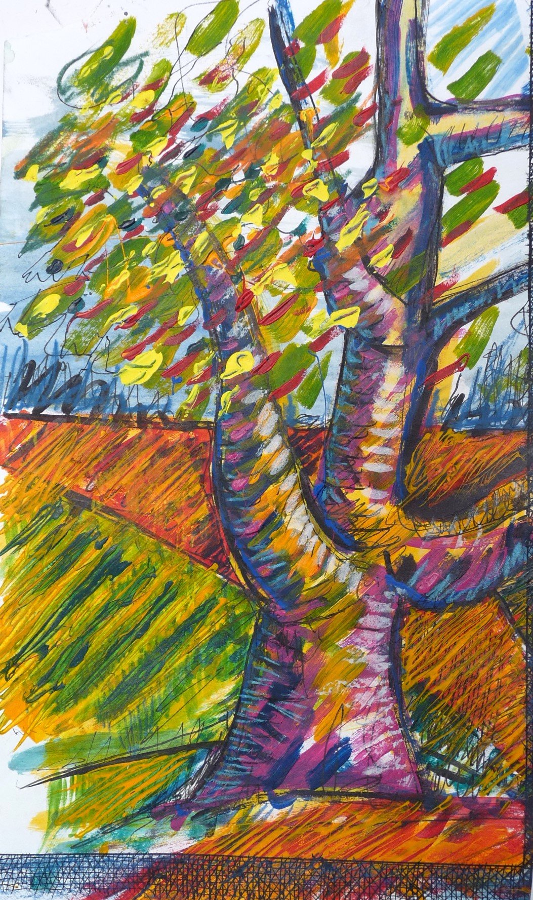 Trees, Nelson
(145x200)
Fibre Tipped Pen, Brush Pen and
Water Colour