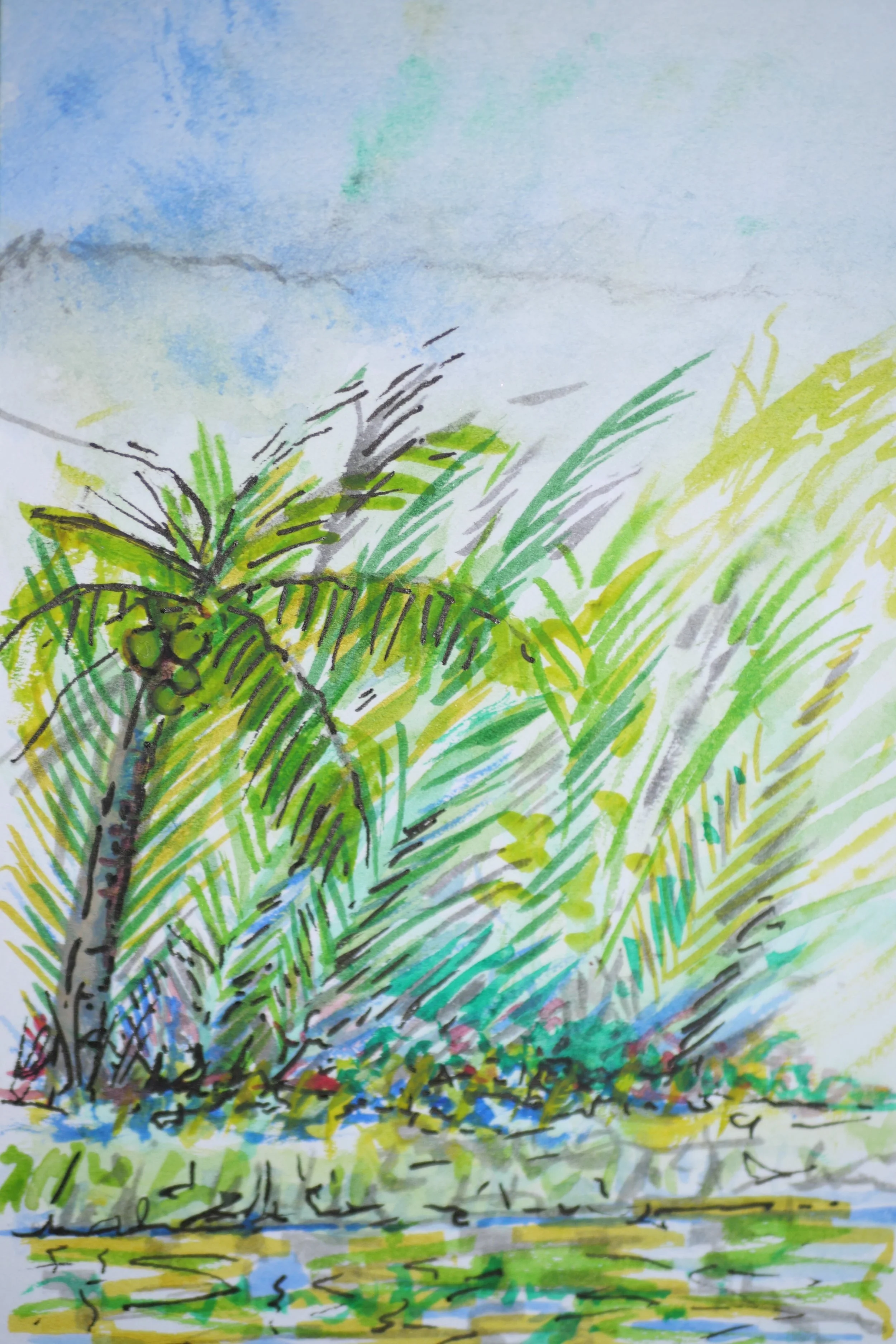 Hoi An, Vietnam
 (90x140) 
Fibre Tipped Pen, Brush Pen and Water Colour