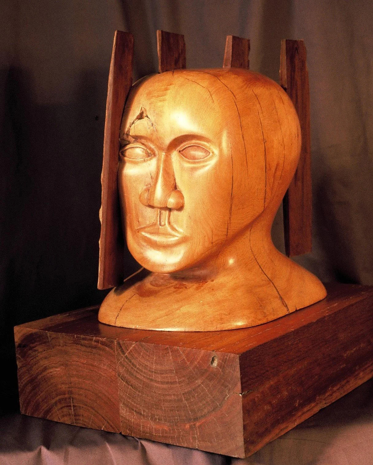 Fenced in (380x210x310)
Totora & Lignium Vitae (Jarrah base)