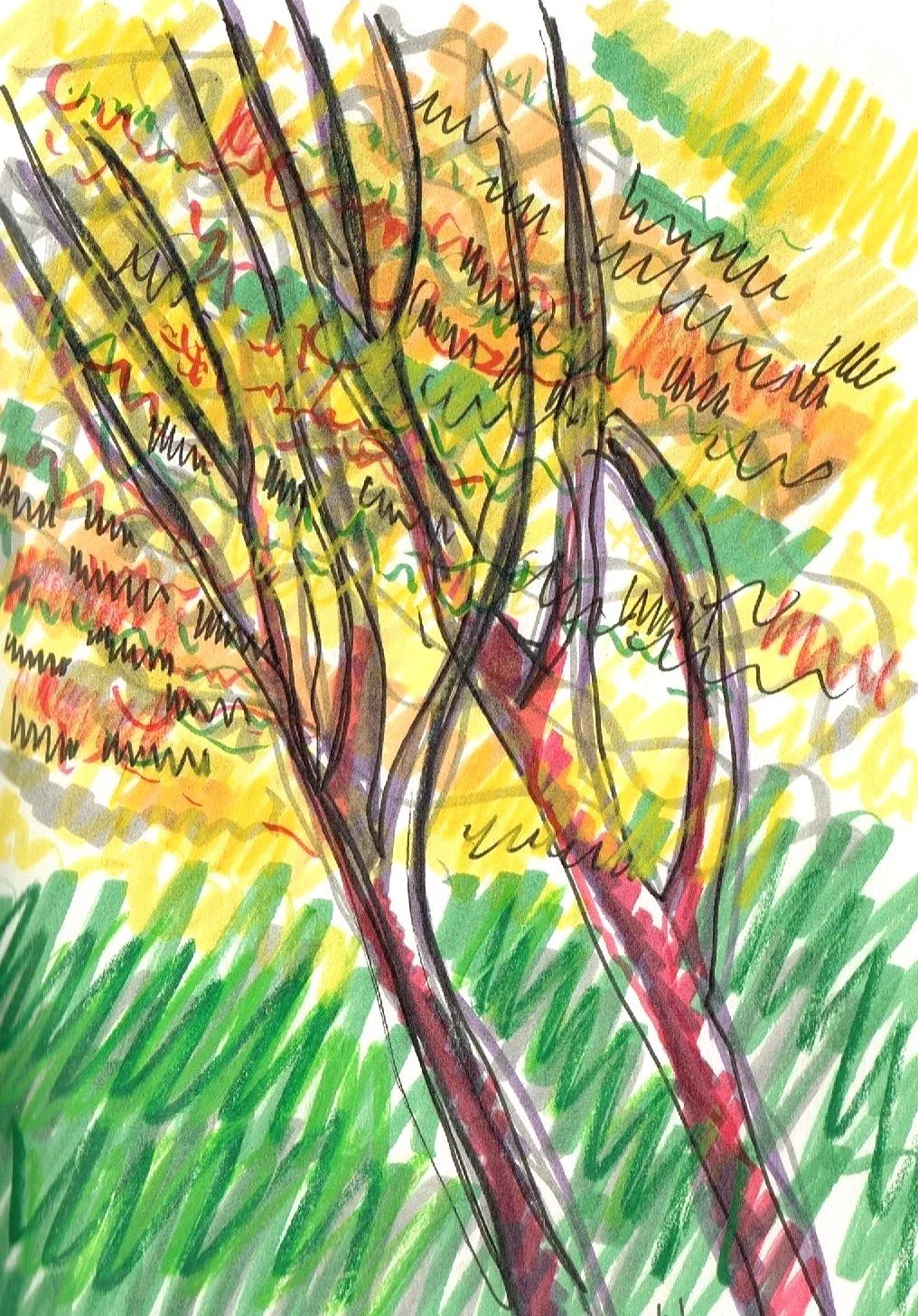 Trees, Nelson
(145x200)
Fibre Tipped Pen, Brush Pen and
Water Colour