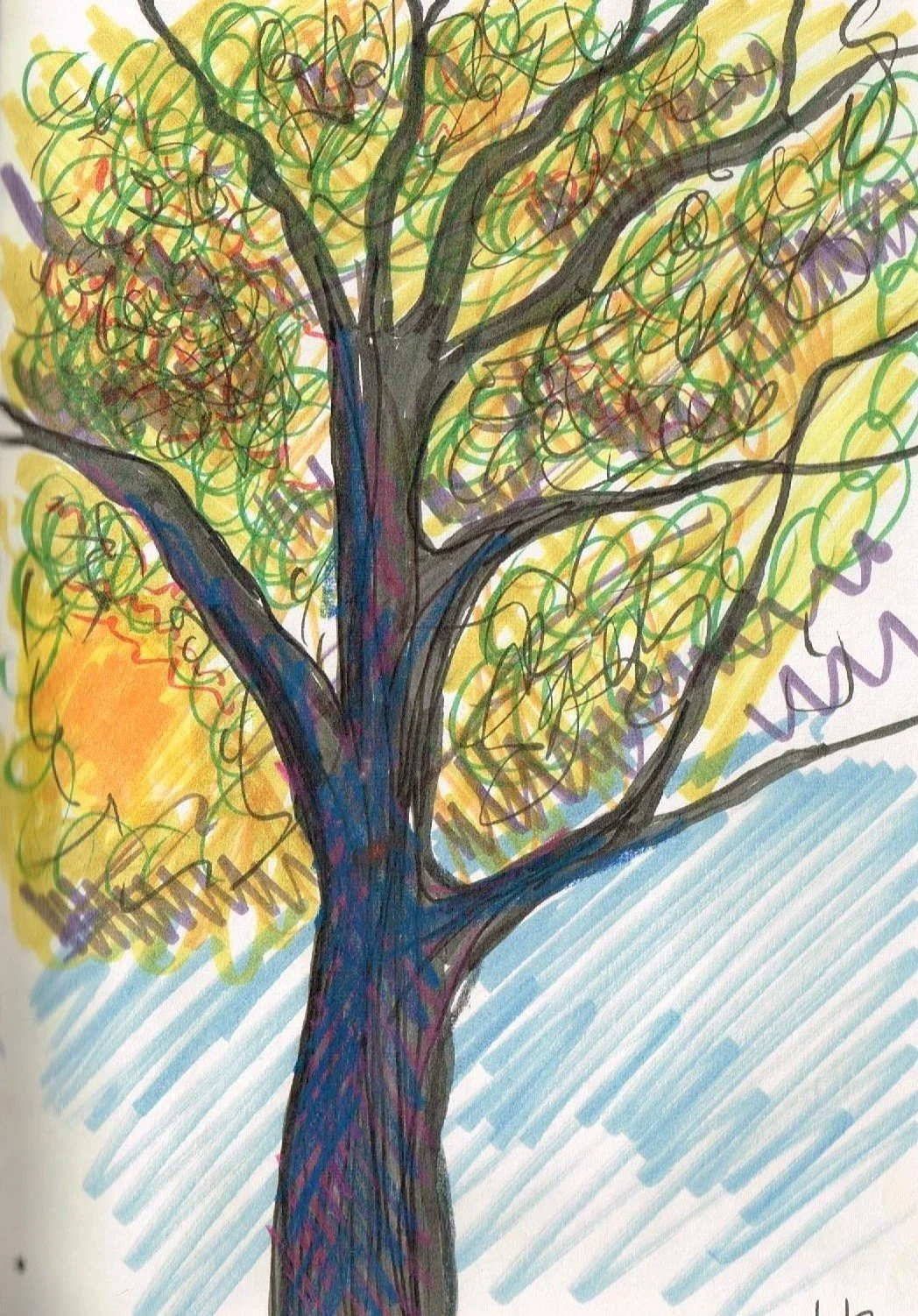 Trees, Nelson
(145x200)
Fibre Tipped Pen, Brush Pen and
Water Colour