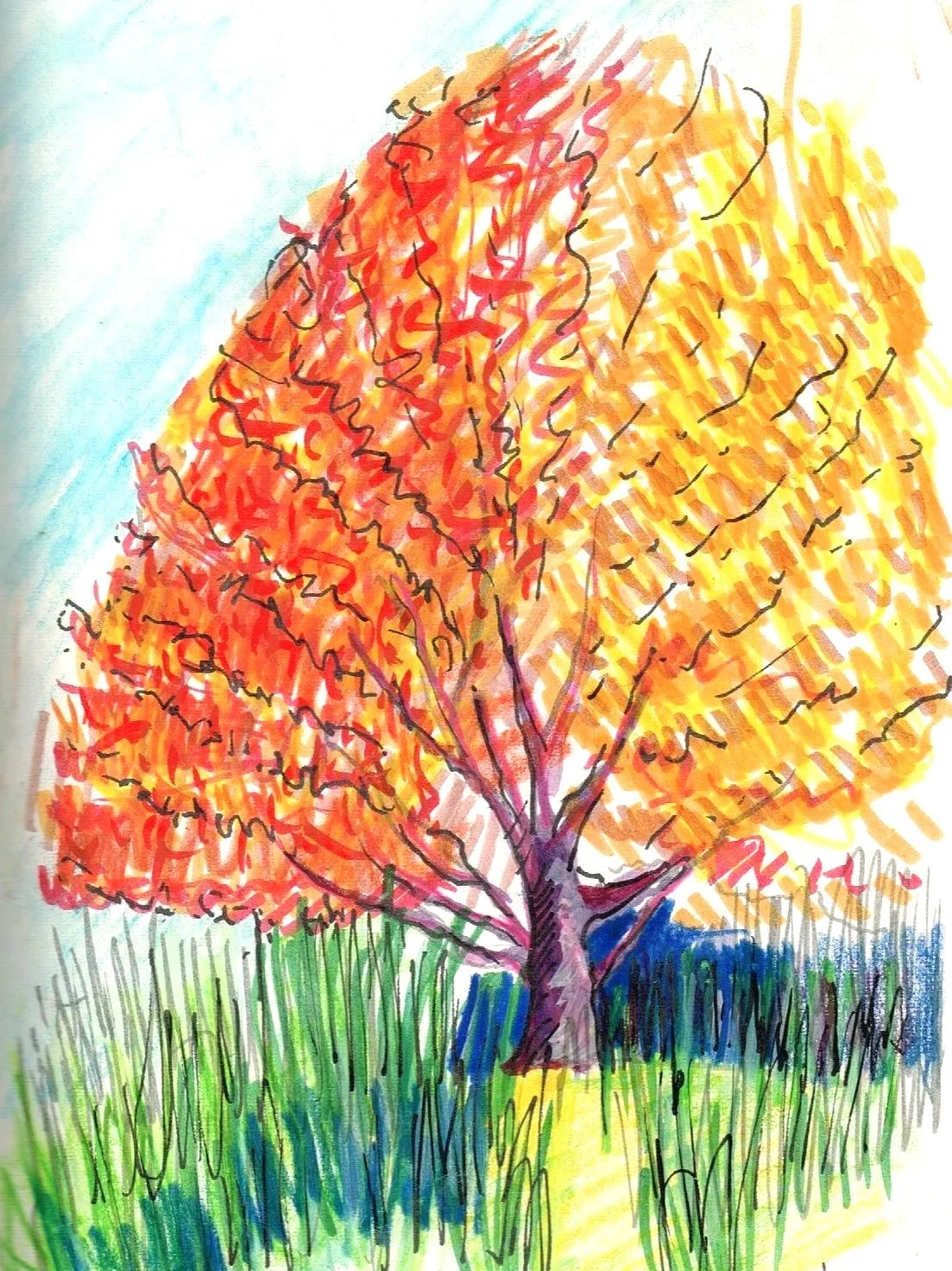 Trees, Nelson
(145x200)
Fibre Tipped Pen, Brush Pen and
Water Colour