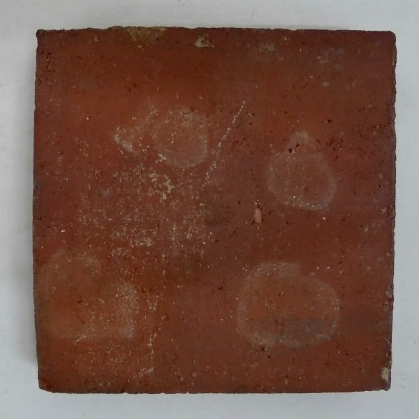 ala-4-e1569778829567.jpg