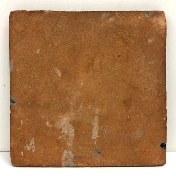 Mexican Tile - 2.jpeg