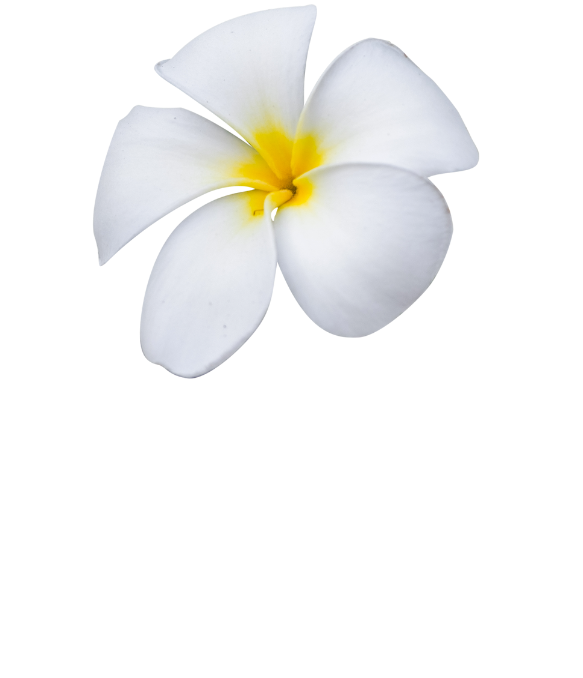 Pure Massage - Martinborough