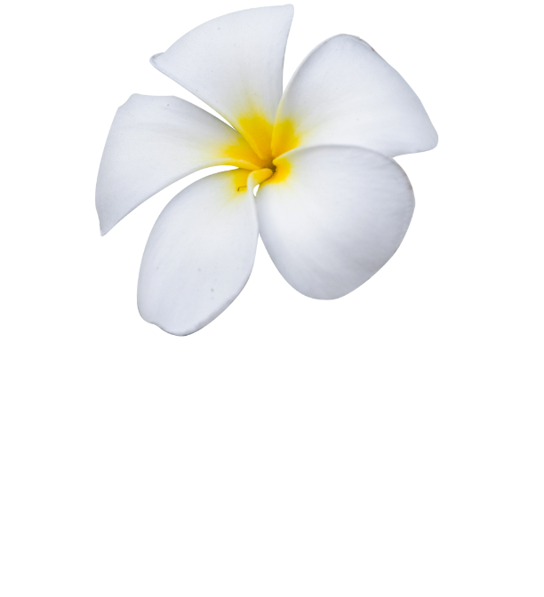 Pure Massage - Martinborough