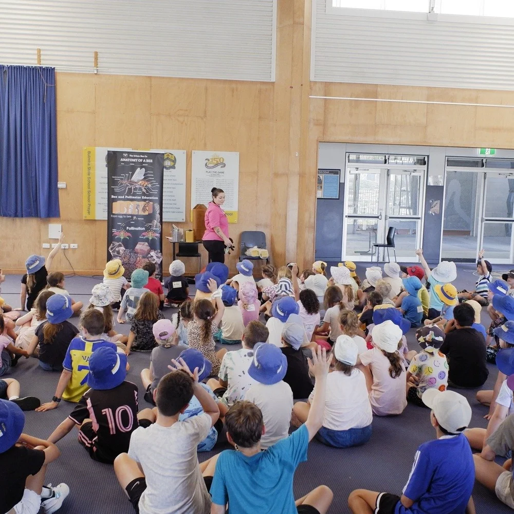 Primary School Bee Education Brisbane — Urban Bee Education