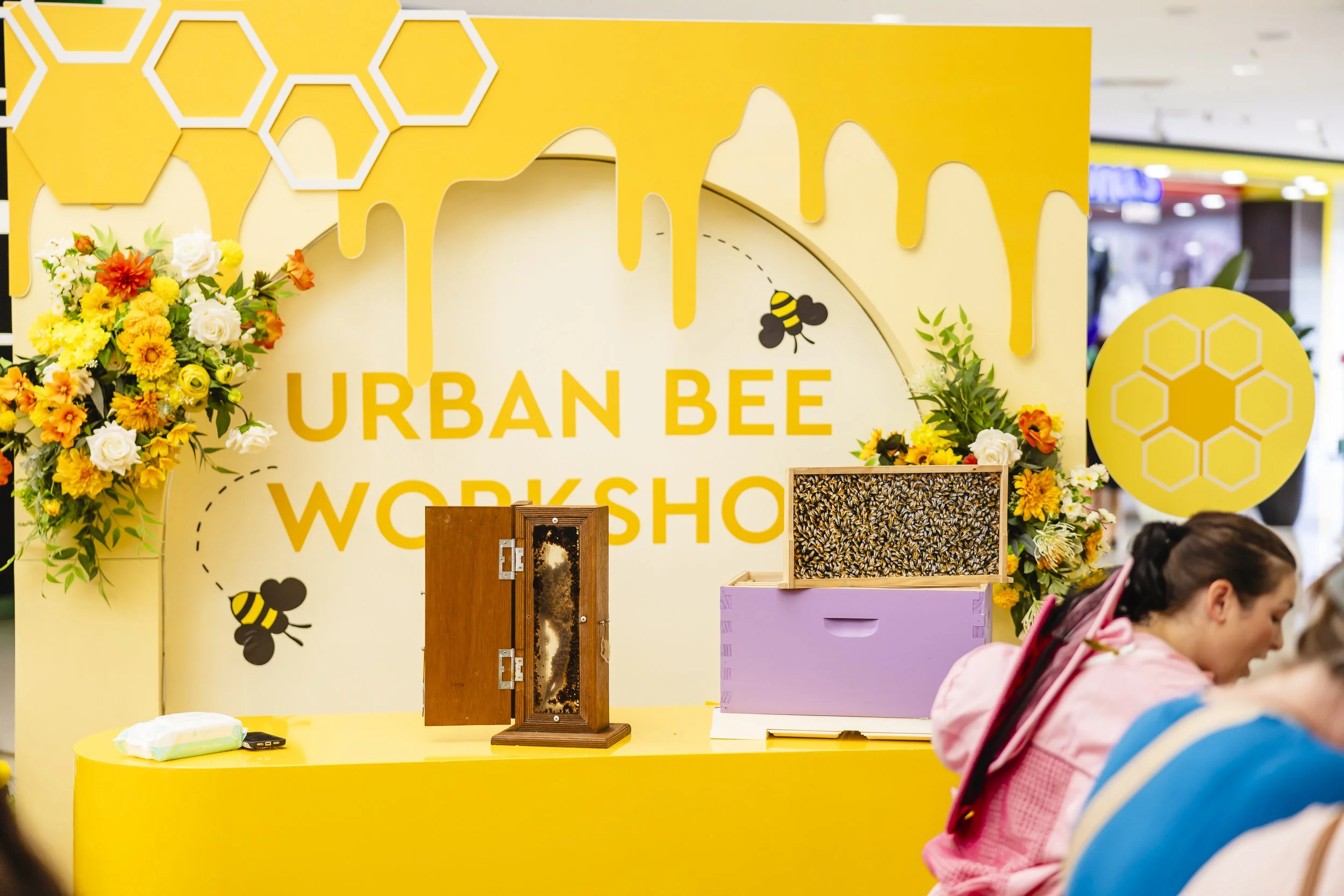 Primary School Bee Education Brisbane — Urban Bee Education