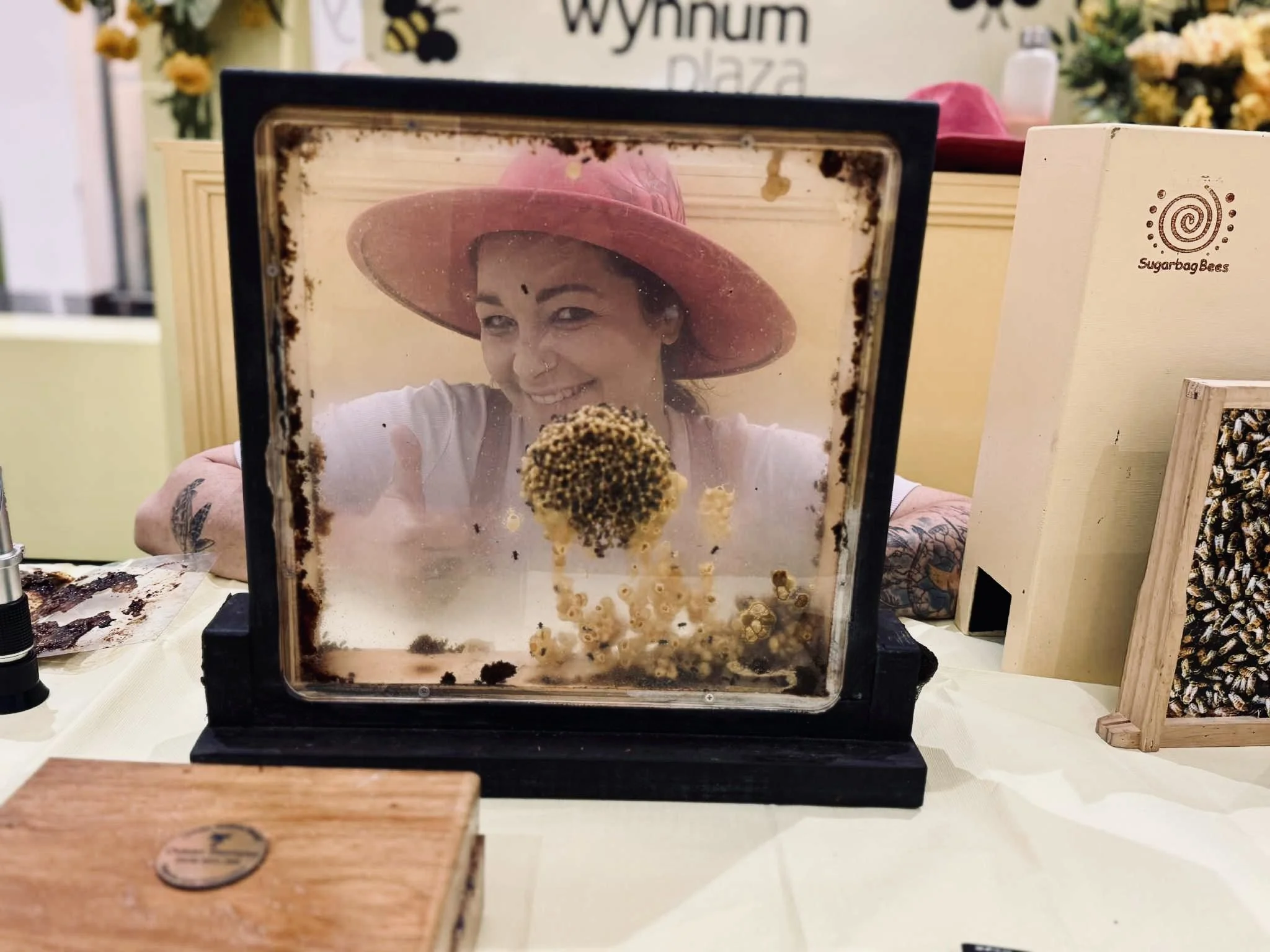 Urban Bee Education