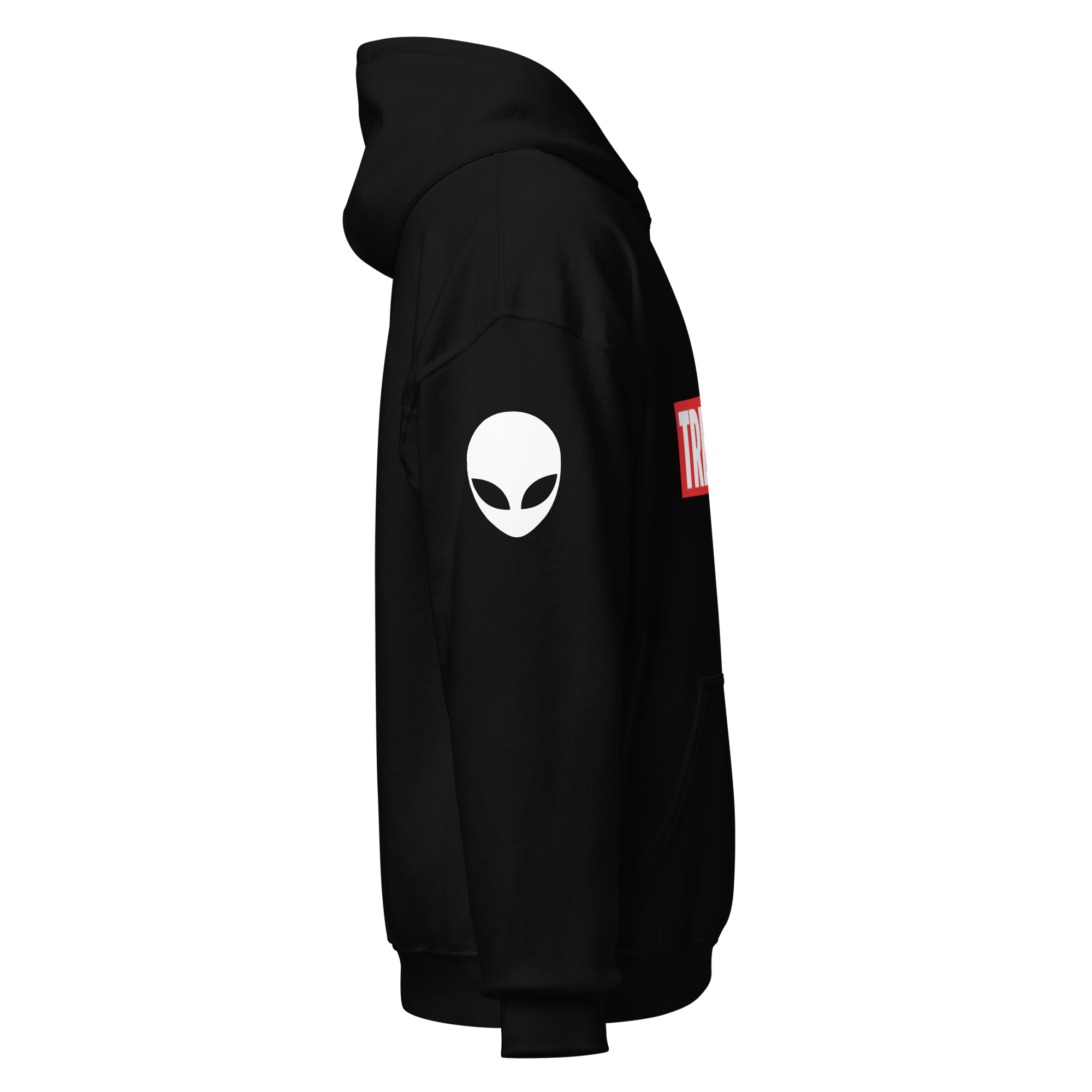 unisex-heavy-blend-hoodie-black-right-6525518b8cefc.png